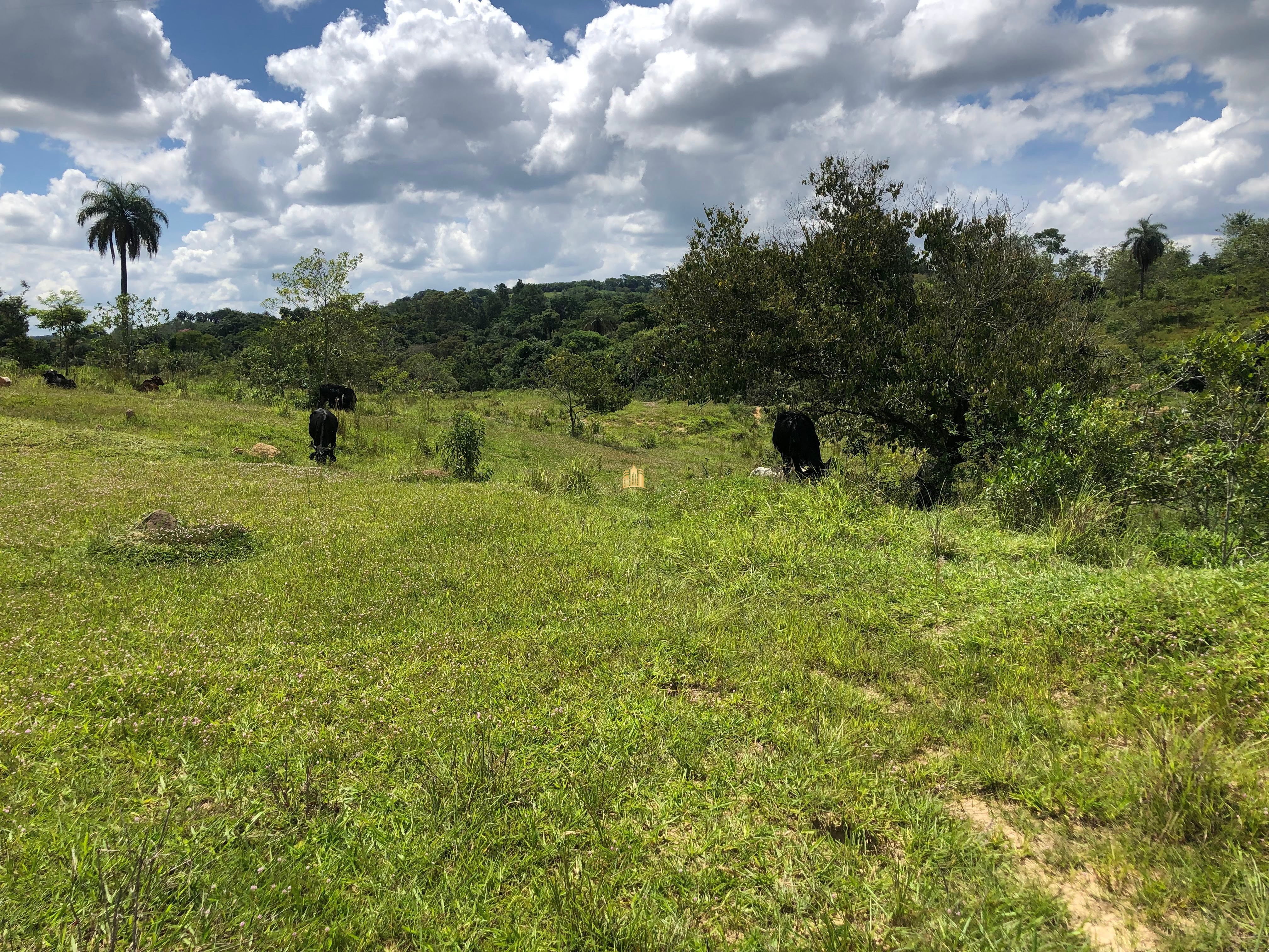 Loteamento e Condomínio à venda com 12 quartos, 47000m² - Foto 66