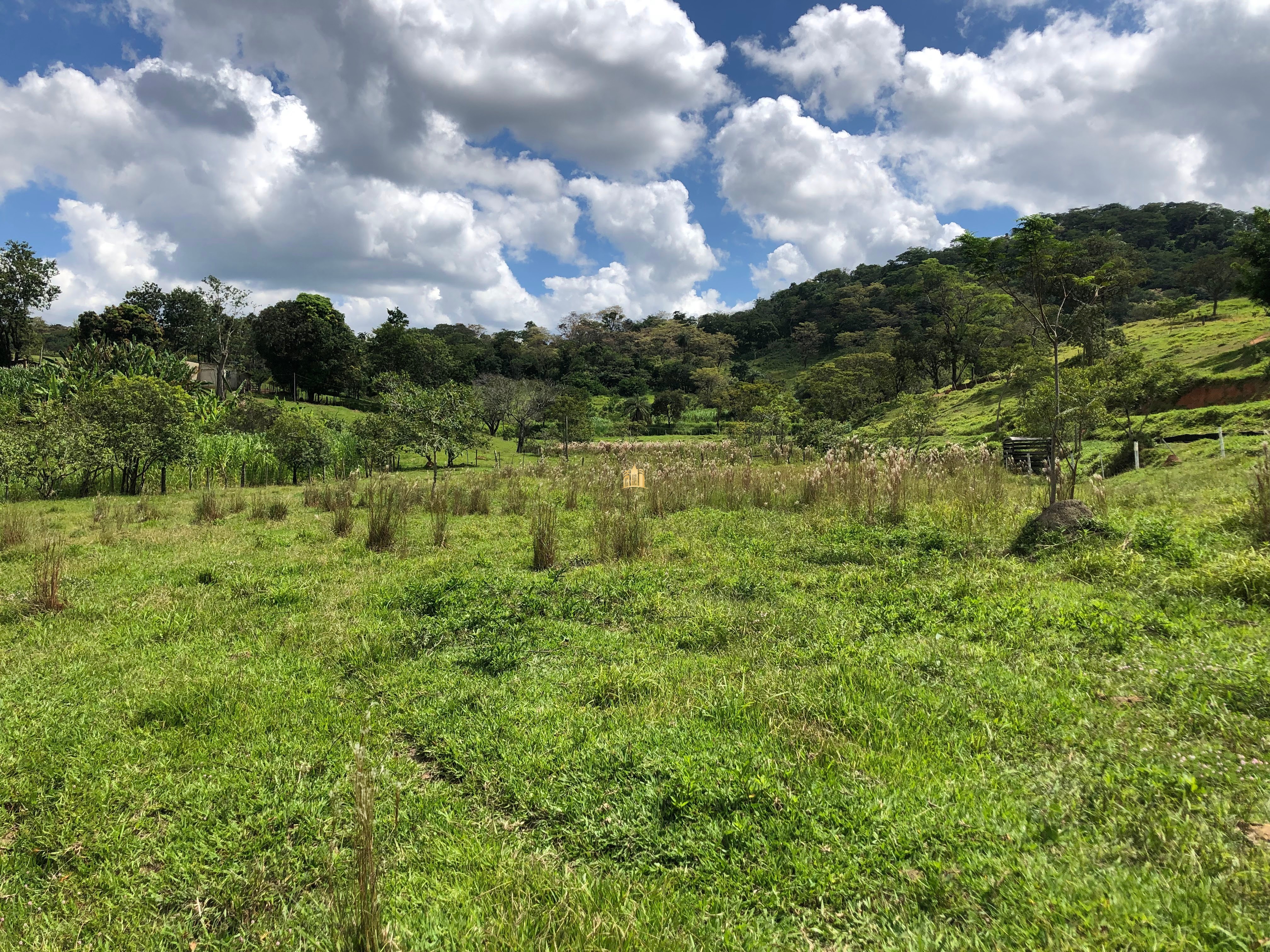 Loteamento e Condomínio à venda com 12 quartos, 47000m² - Foto 30