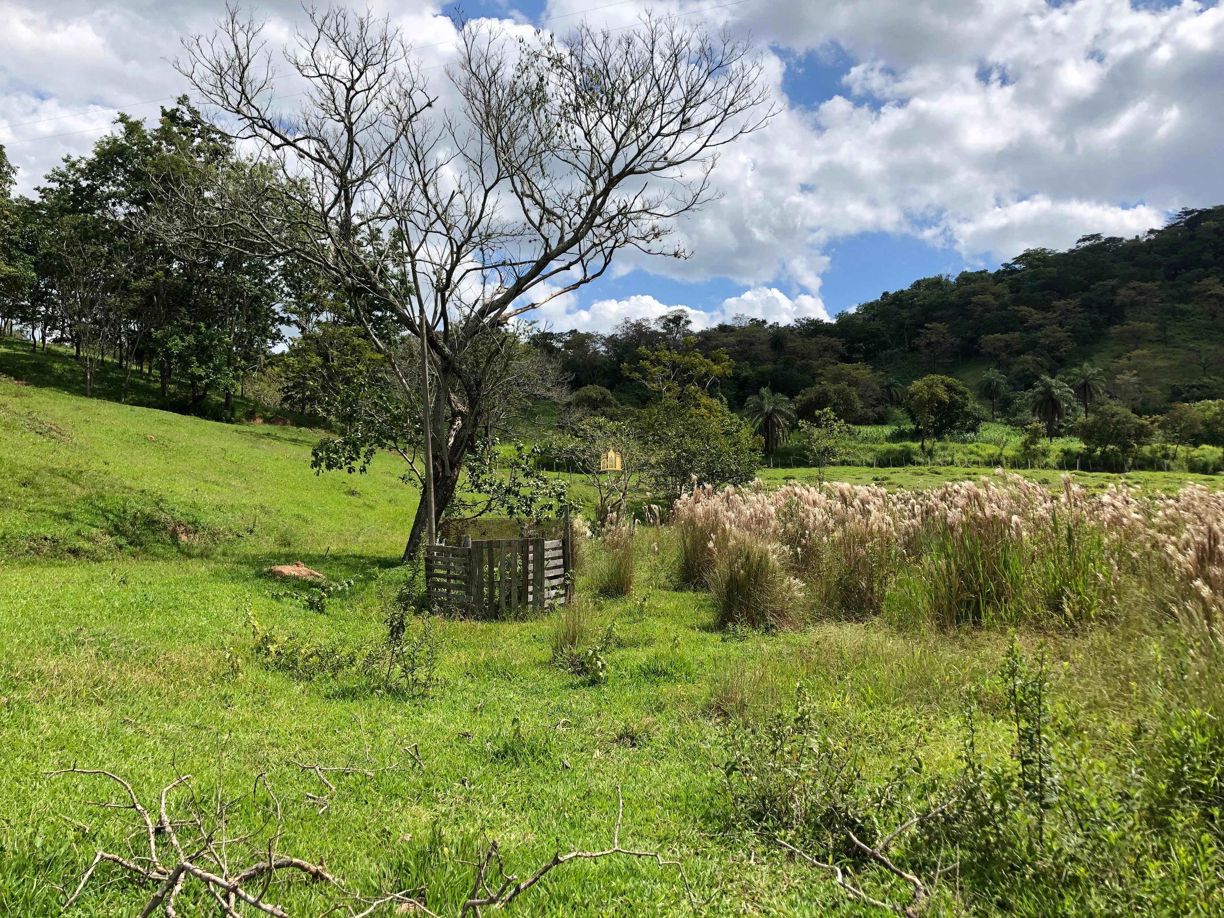 Loteamento e Condomínio à venda com 12 quartos, 47000m² - Foto 6