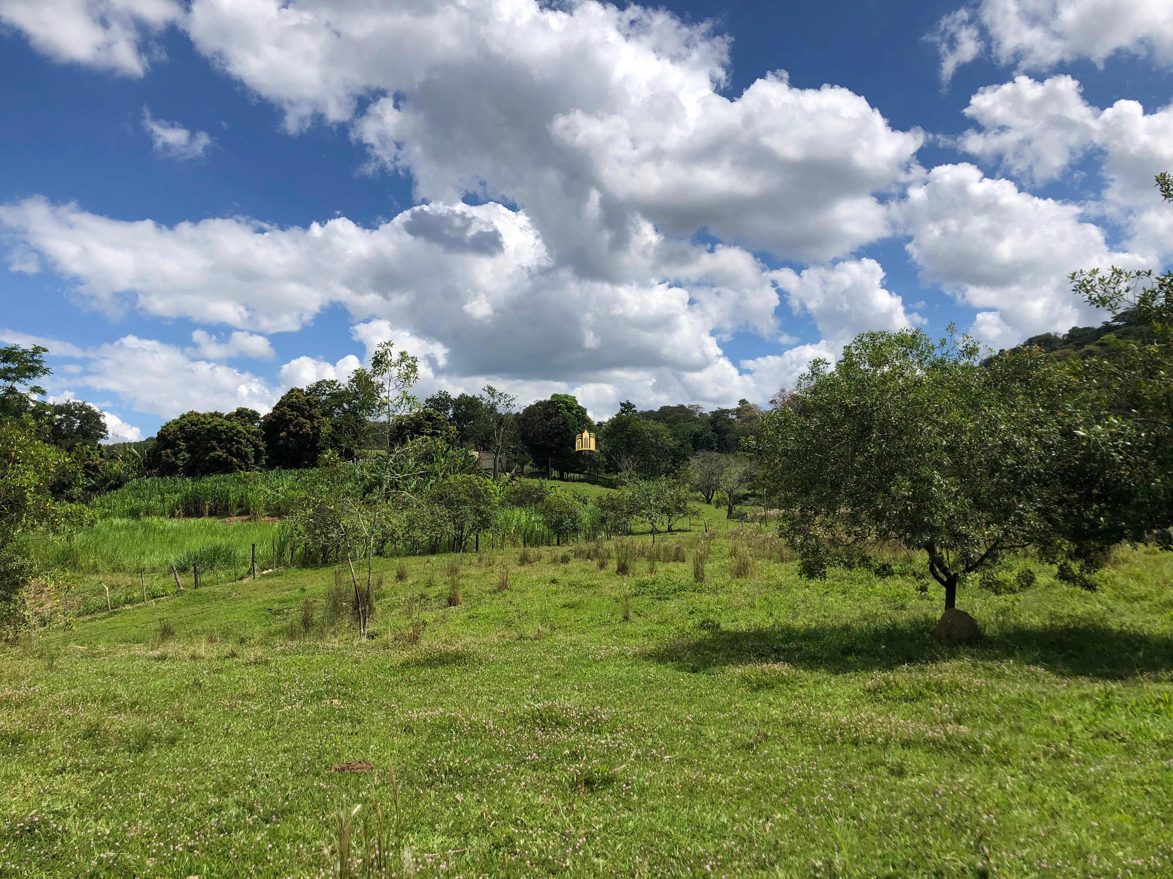 Loteamento e Condomínio à venda com 12 quartos, 47000m² - Foto 1