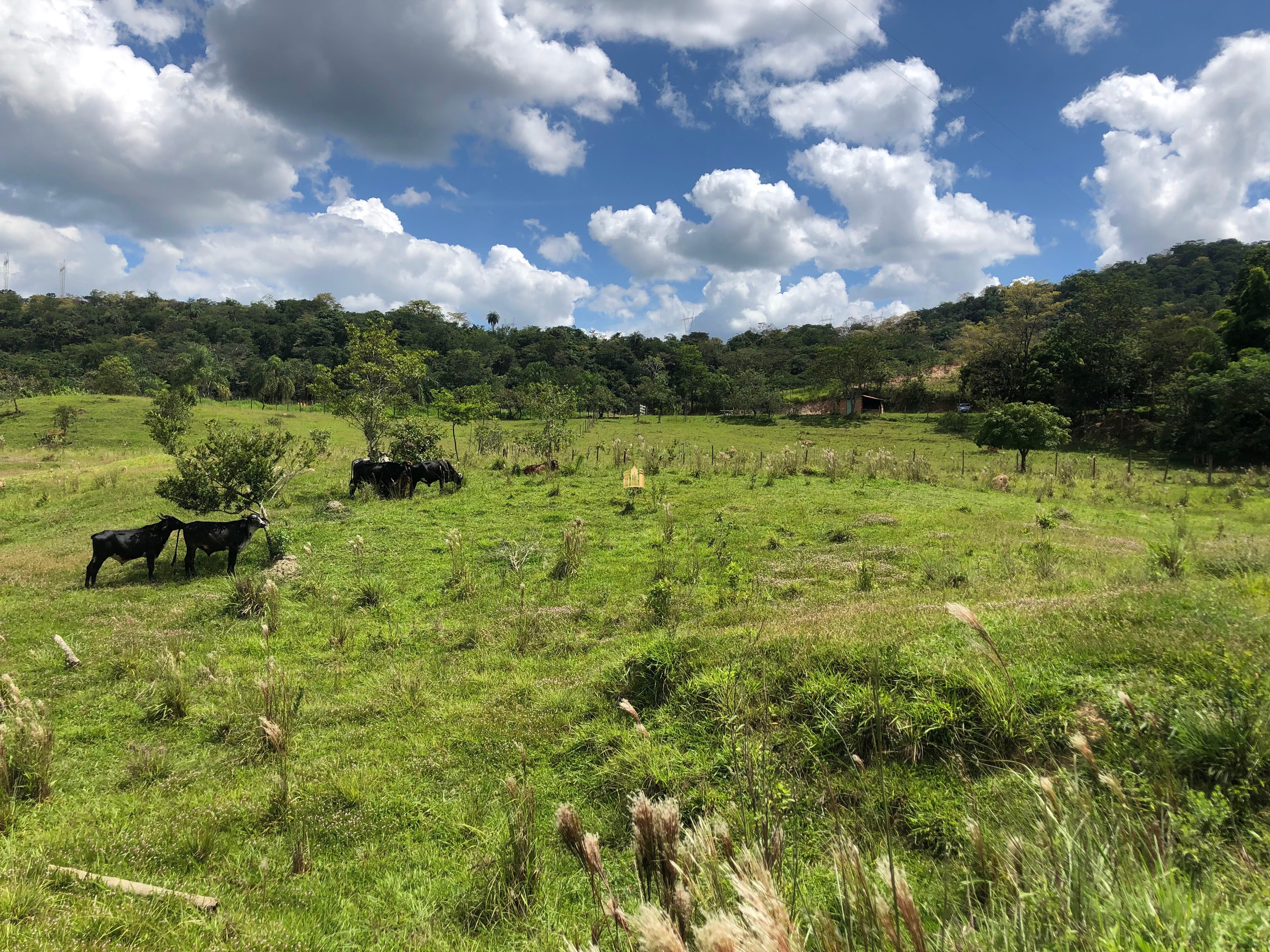 Loteamento e Condomínio à venda com 12 quartos, 47000m² - Foto 55