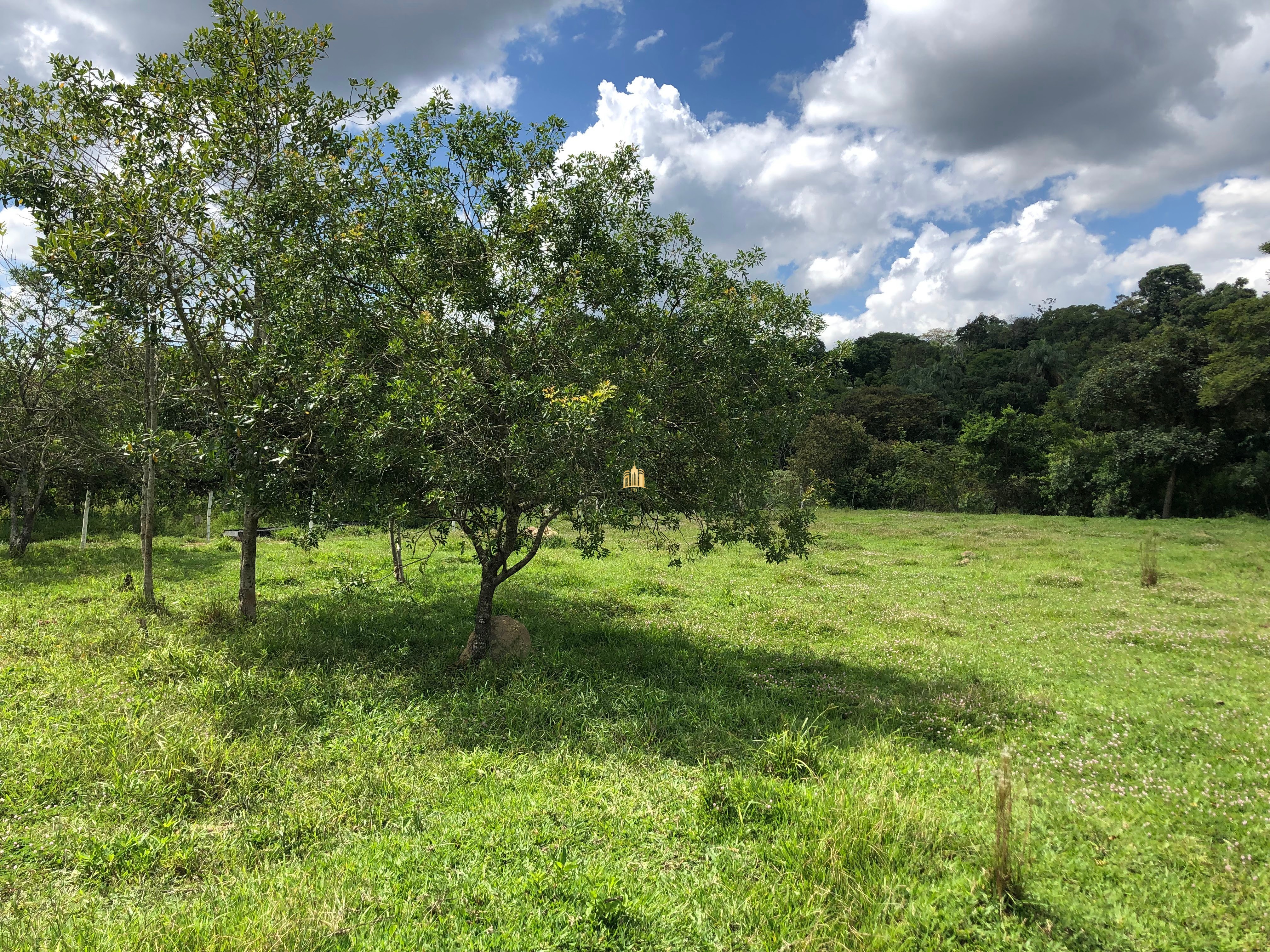 Loteamento e Condomínio à venda com 12 quartos, 47000m² - Foto 32