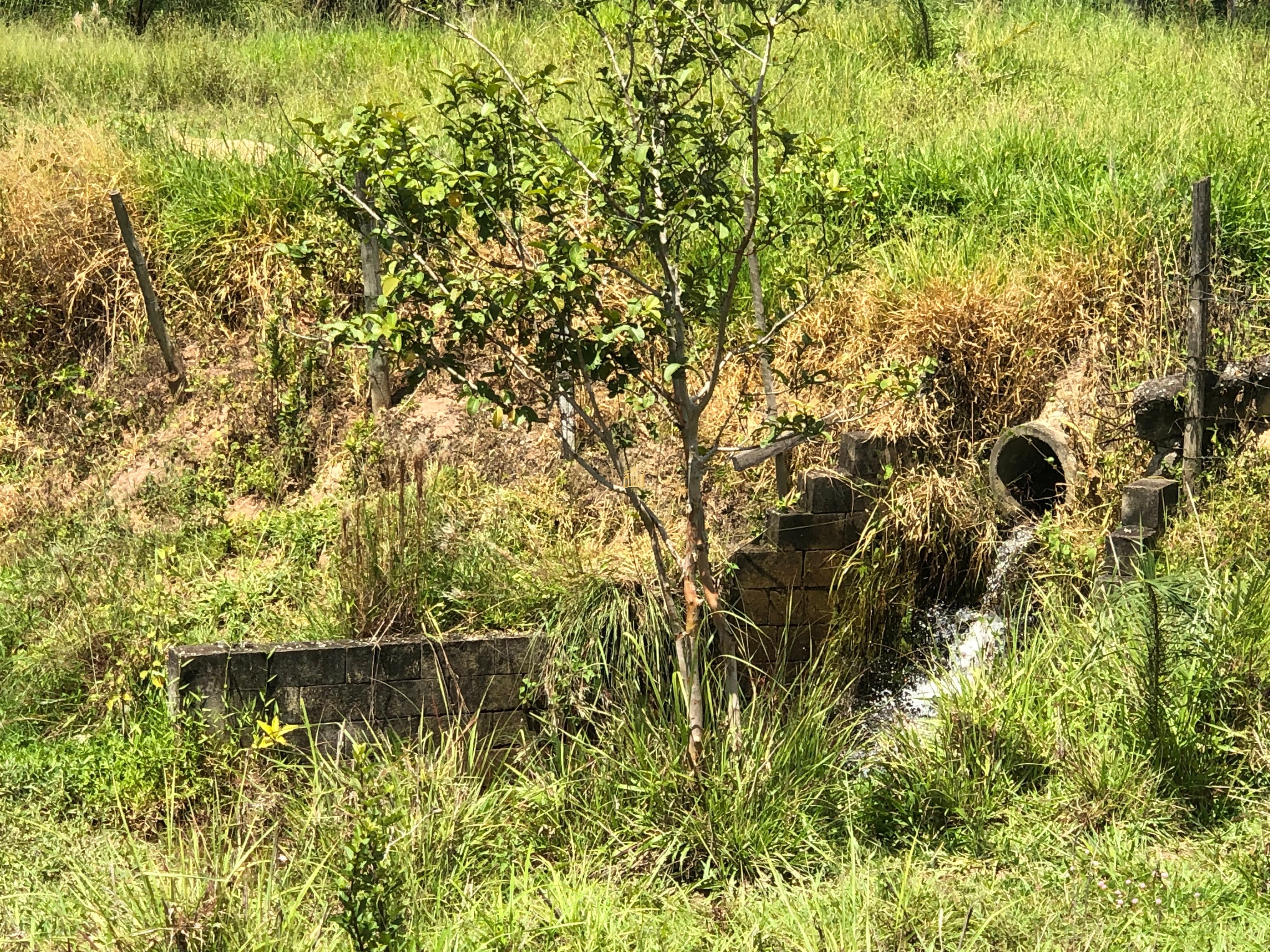 Loteamento e Condomínio à venda com 12 quartos, 47000m² - Foto 70