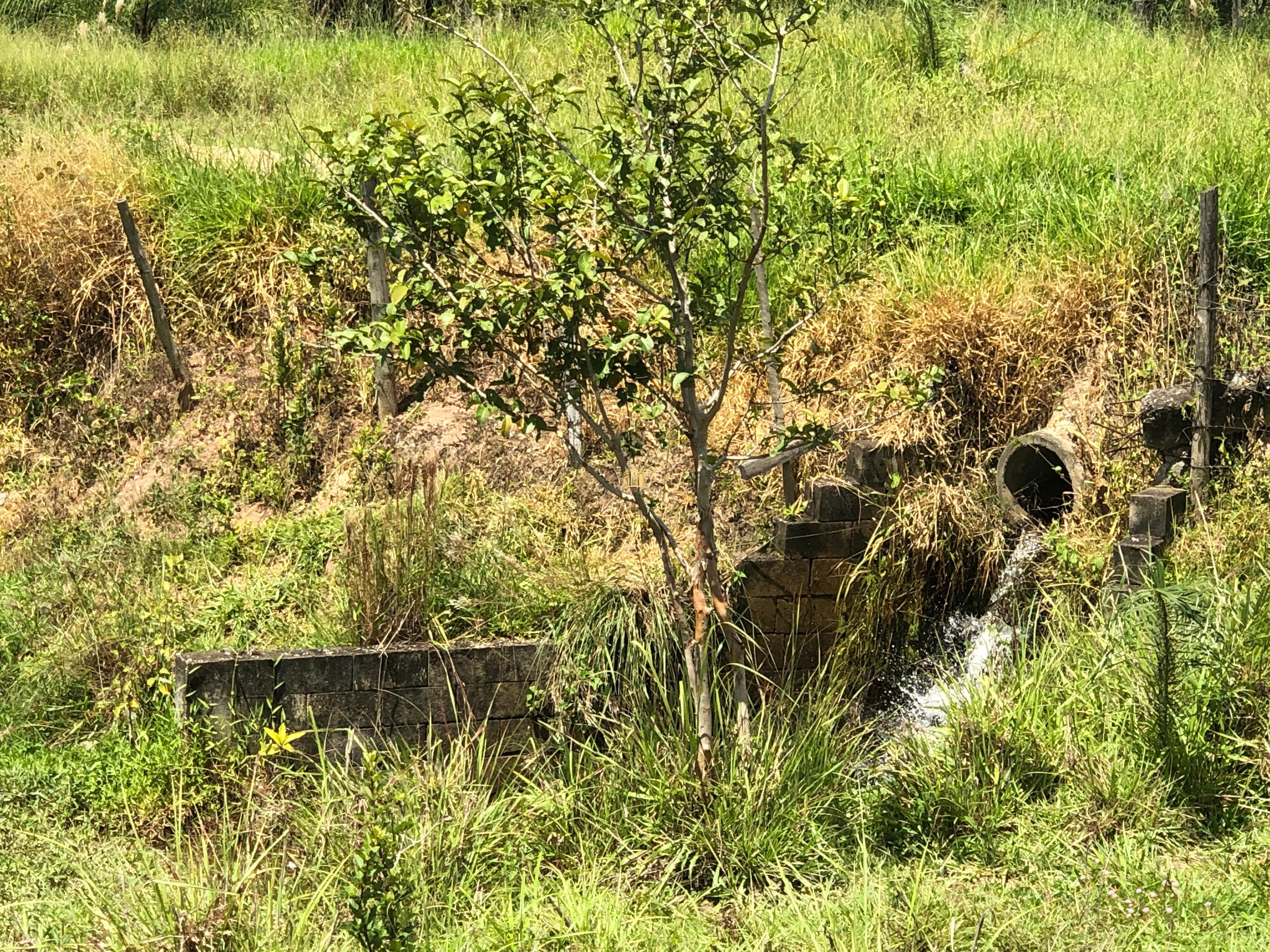 Loteamento e Condomínio à venda com 12 quartos, 47000m² - Foto 69