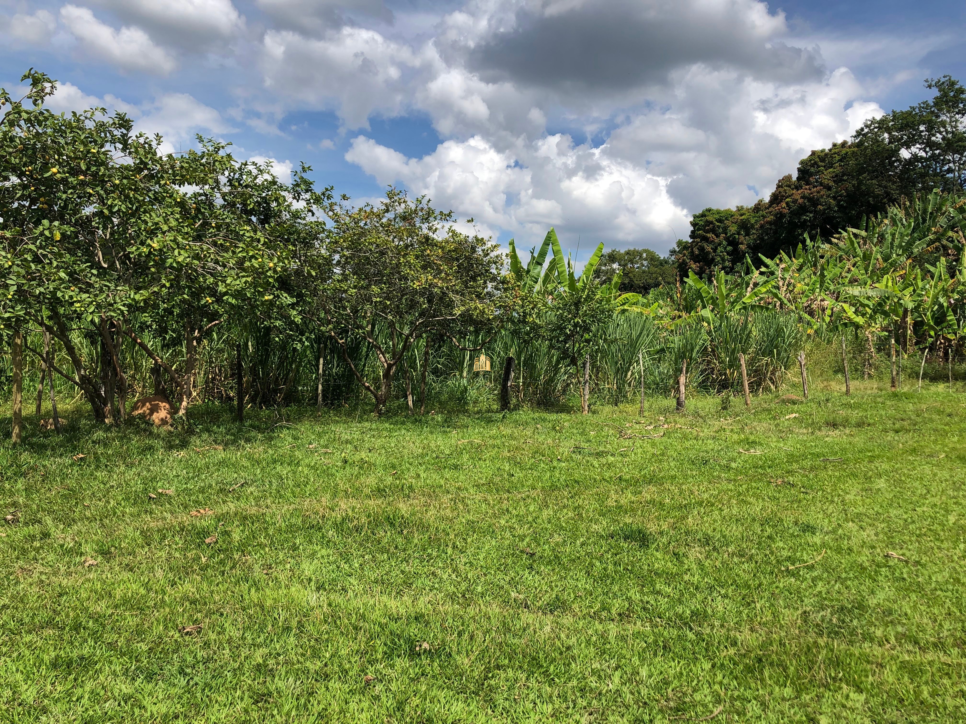 Loteamento e Condomínio à venda com 12 quartos, 47000m² - Foto 23