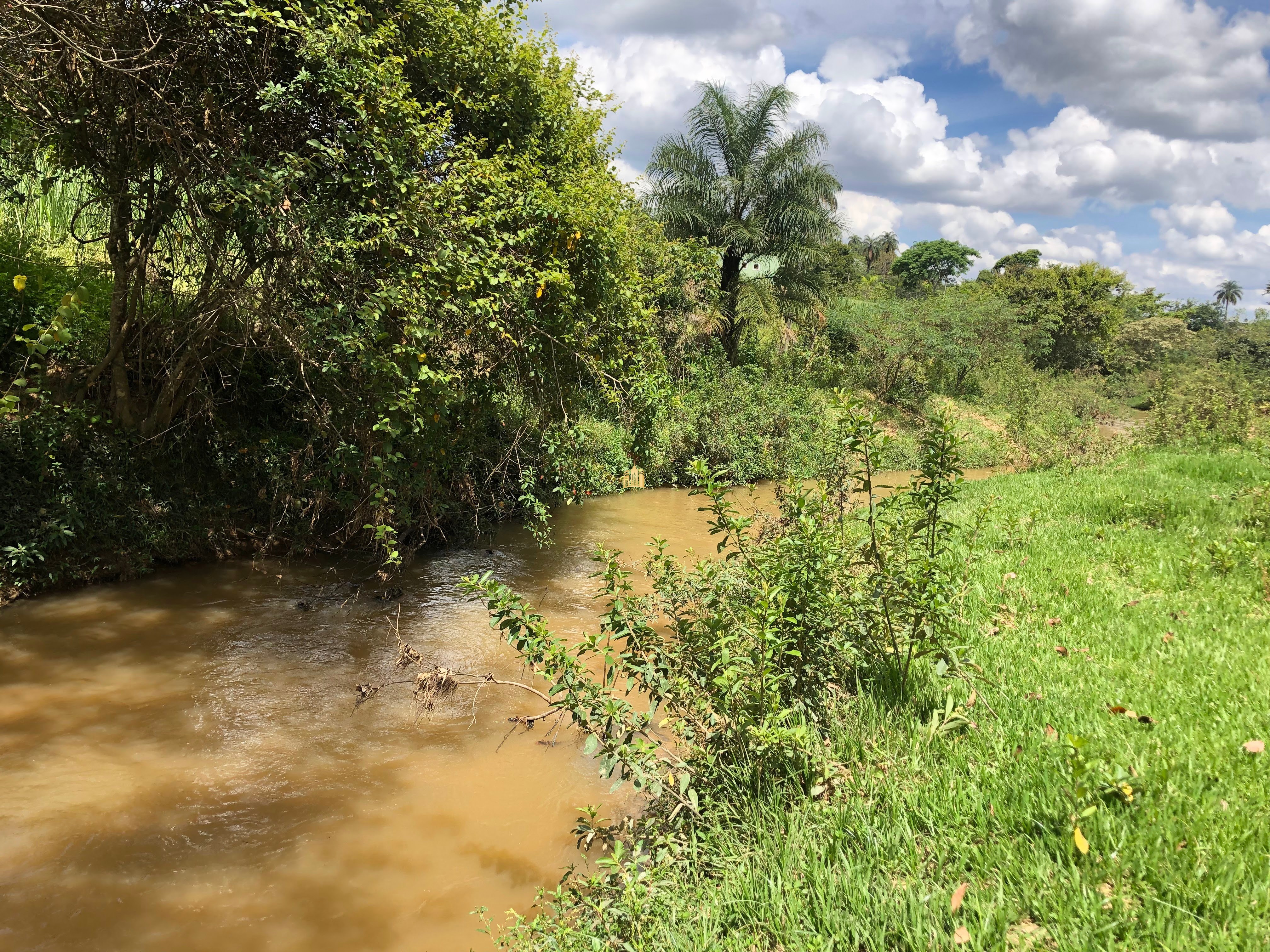 Loteamento e Condomínio à venda com 12 quartos, 47000m² - Foto 39