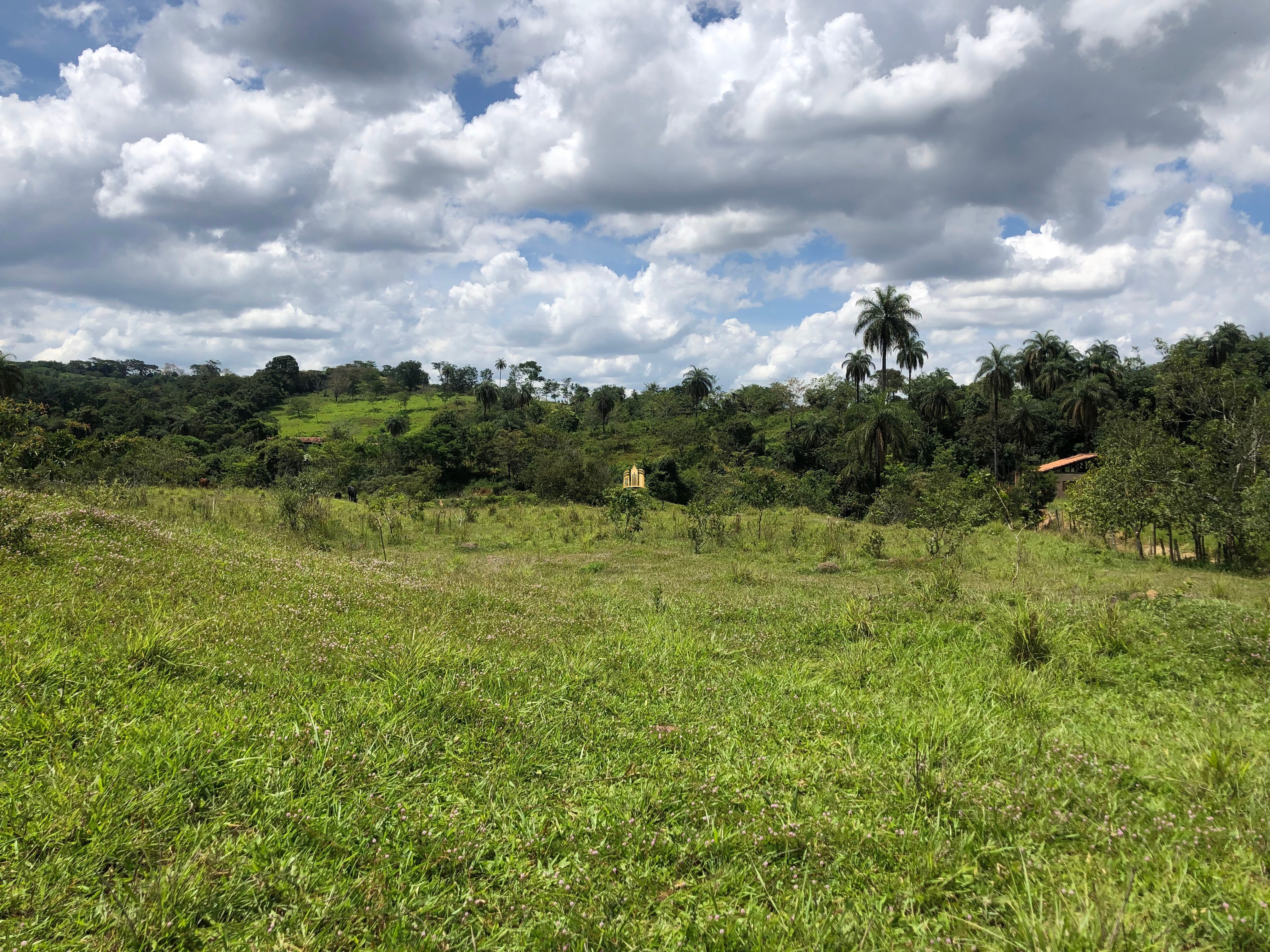 Loteamento e Condomínio à venda com 12 quartos, 47000m² - Foto 80