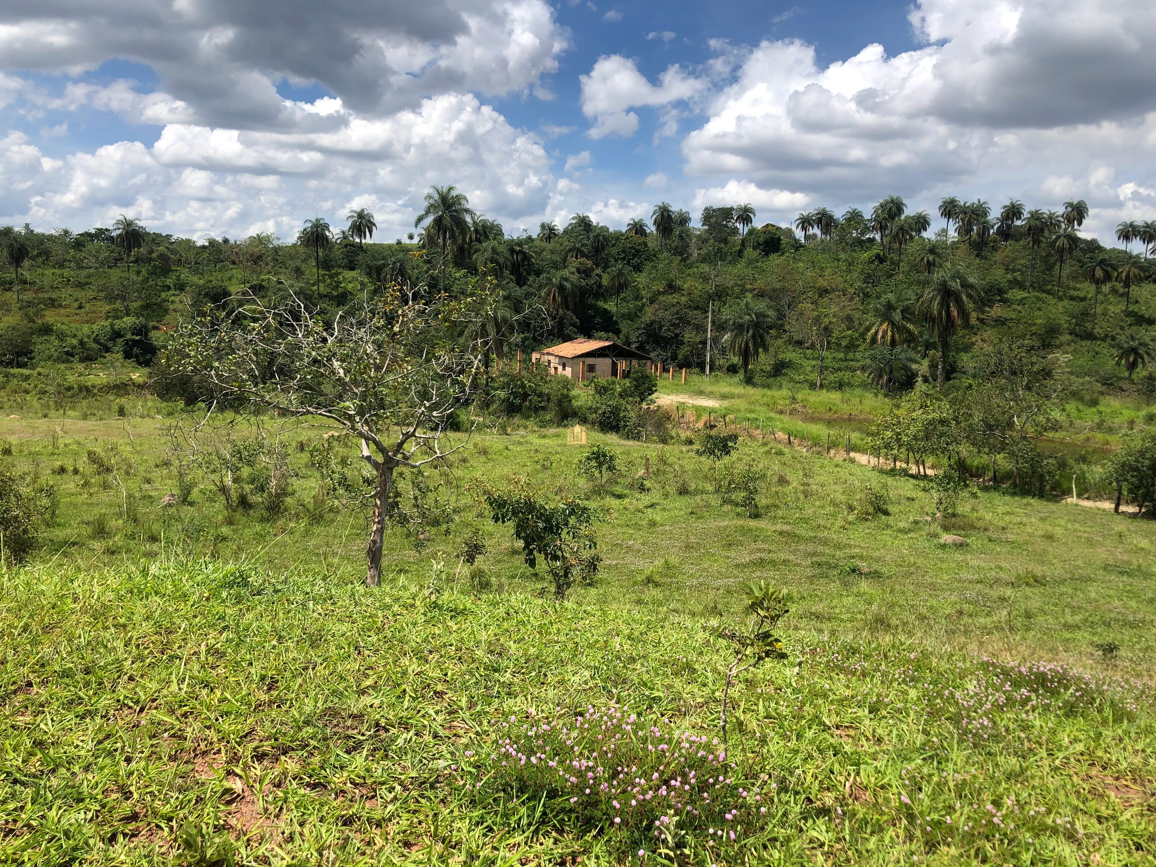 Loteamento e Condomínio à venda com 12 quartos, 47000m² - Foto 85