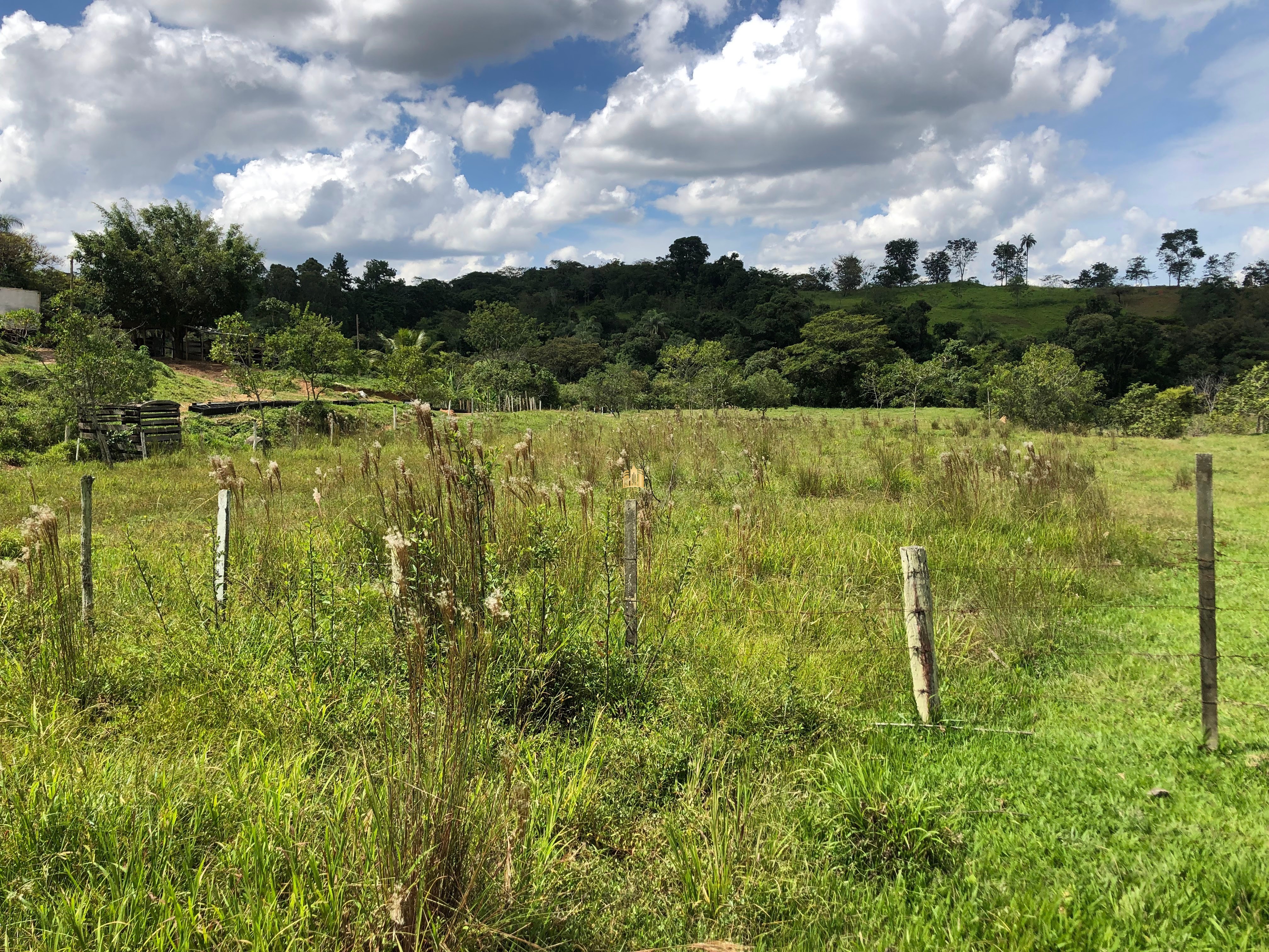 Loteamento e Condomínio à venda com 12 quartos, 47000m² - Foto 18