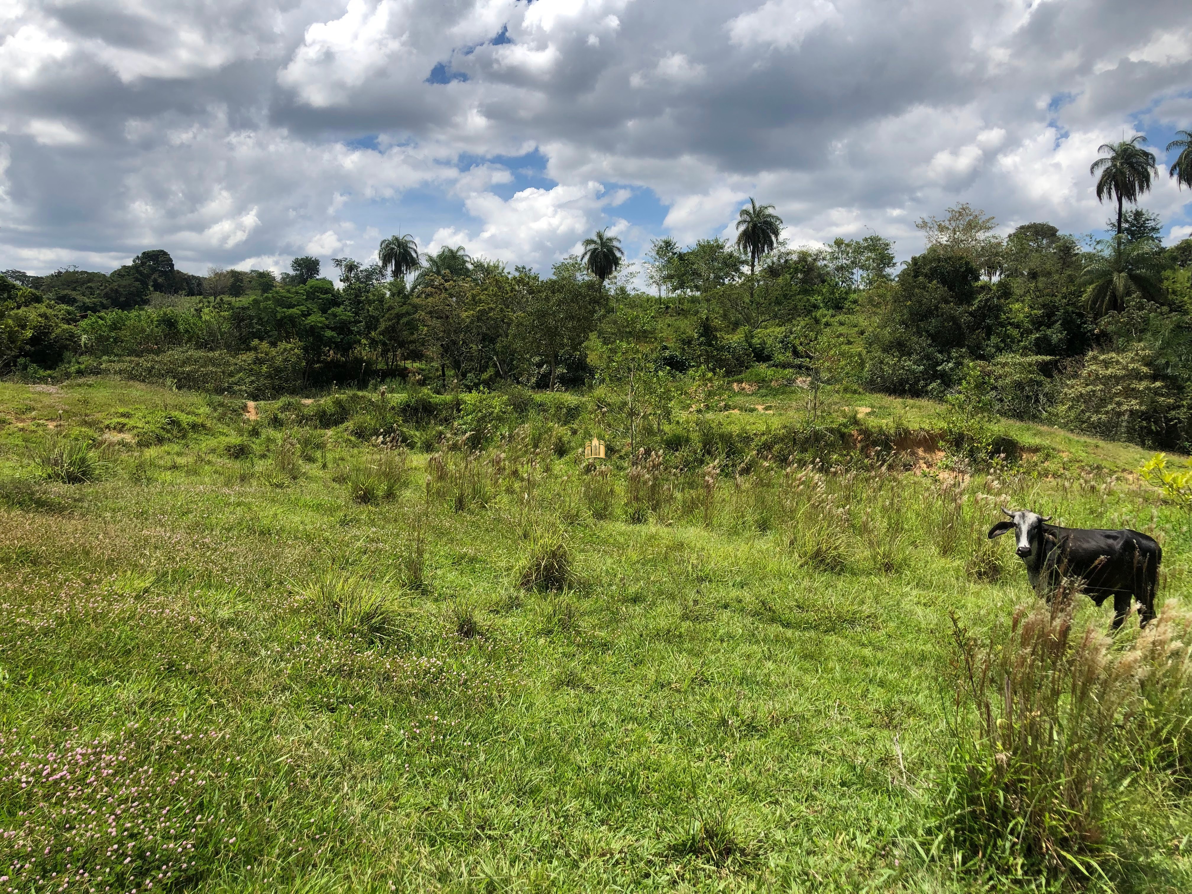 Loteamento e Condomínio à venda com 12 quartos, 47000m² - Foto 64