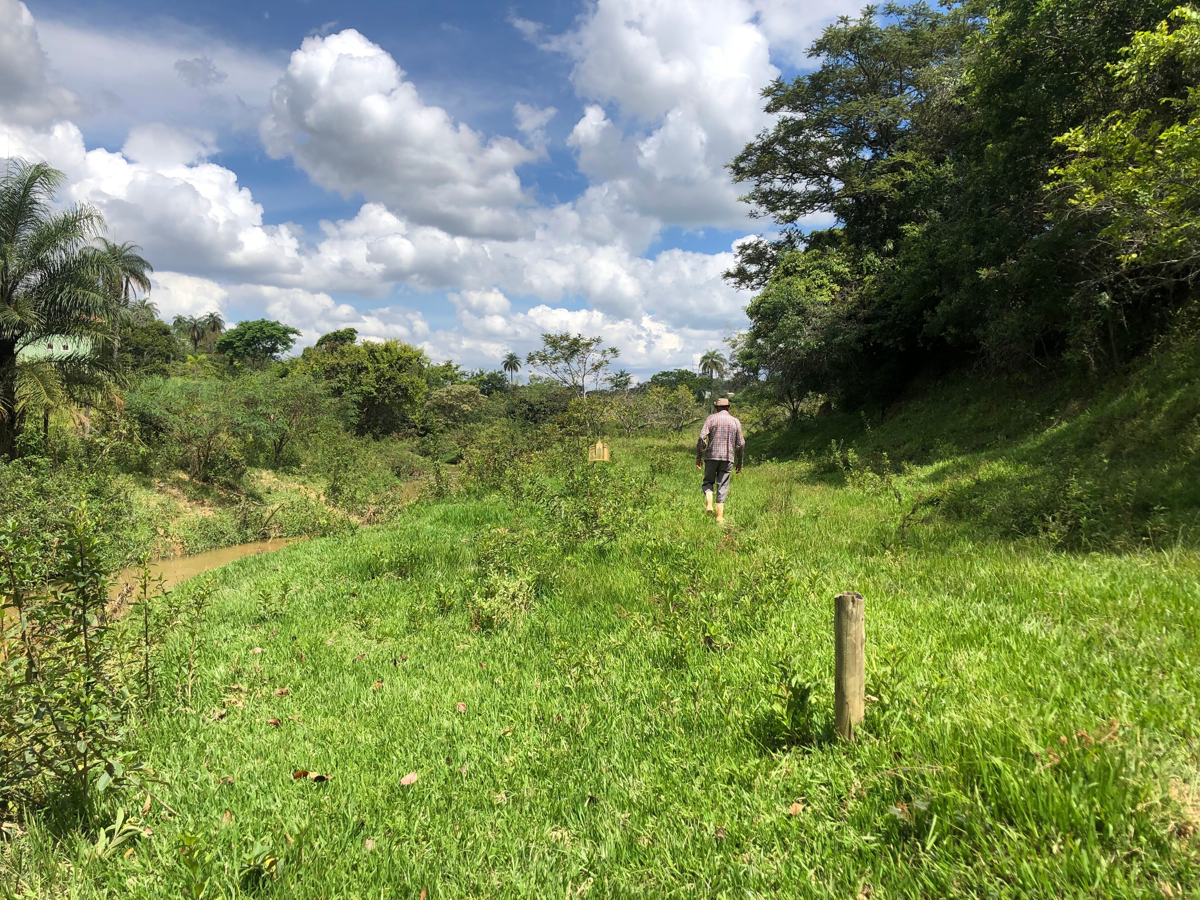 Loteamento e Condomínio à venda com 12 quartos, 47000m² - Foto 37