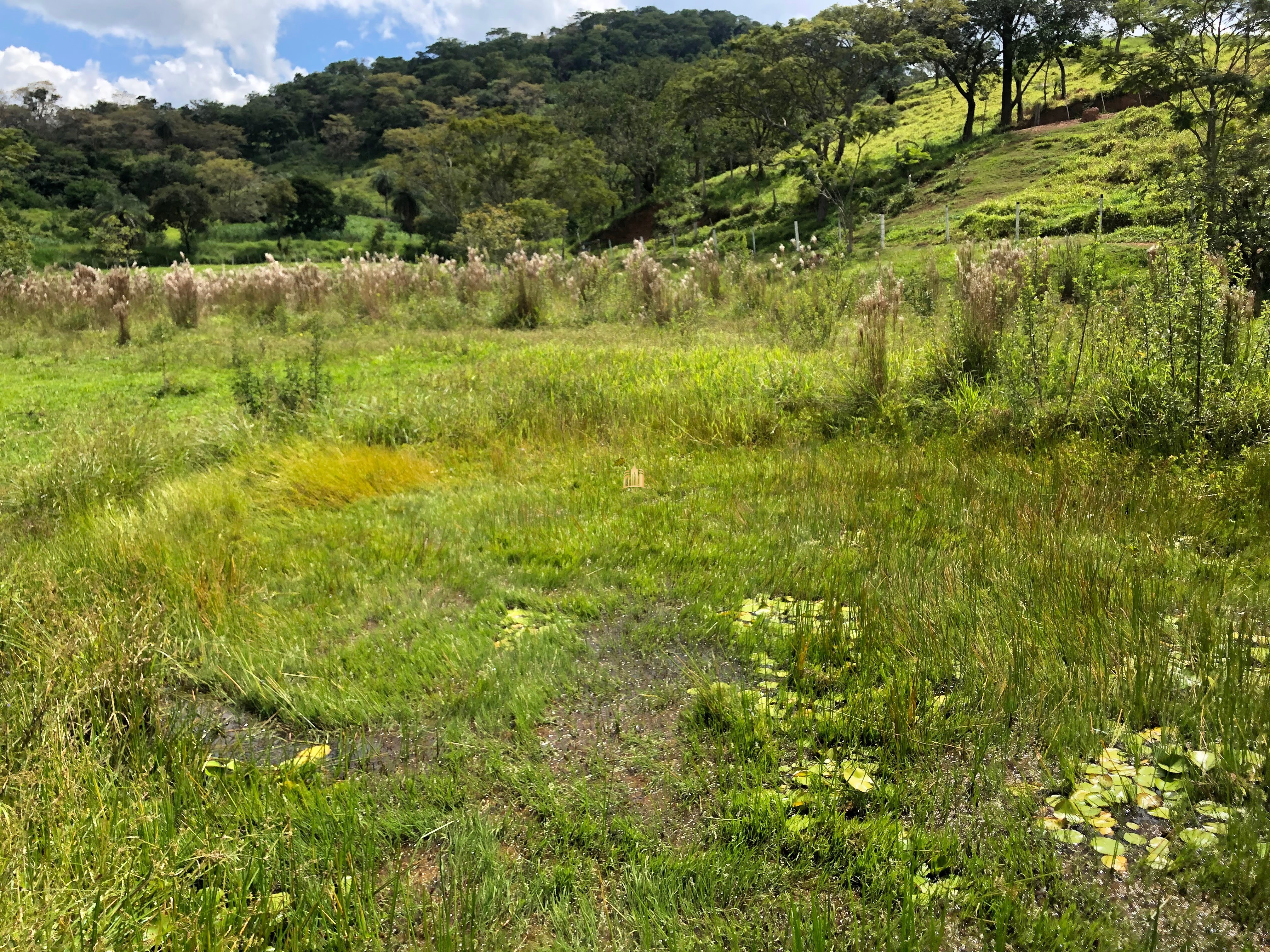 Loteamento e Condomínio à venda com 12 quartos, 47000m² - Foto 21