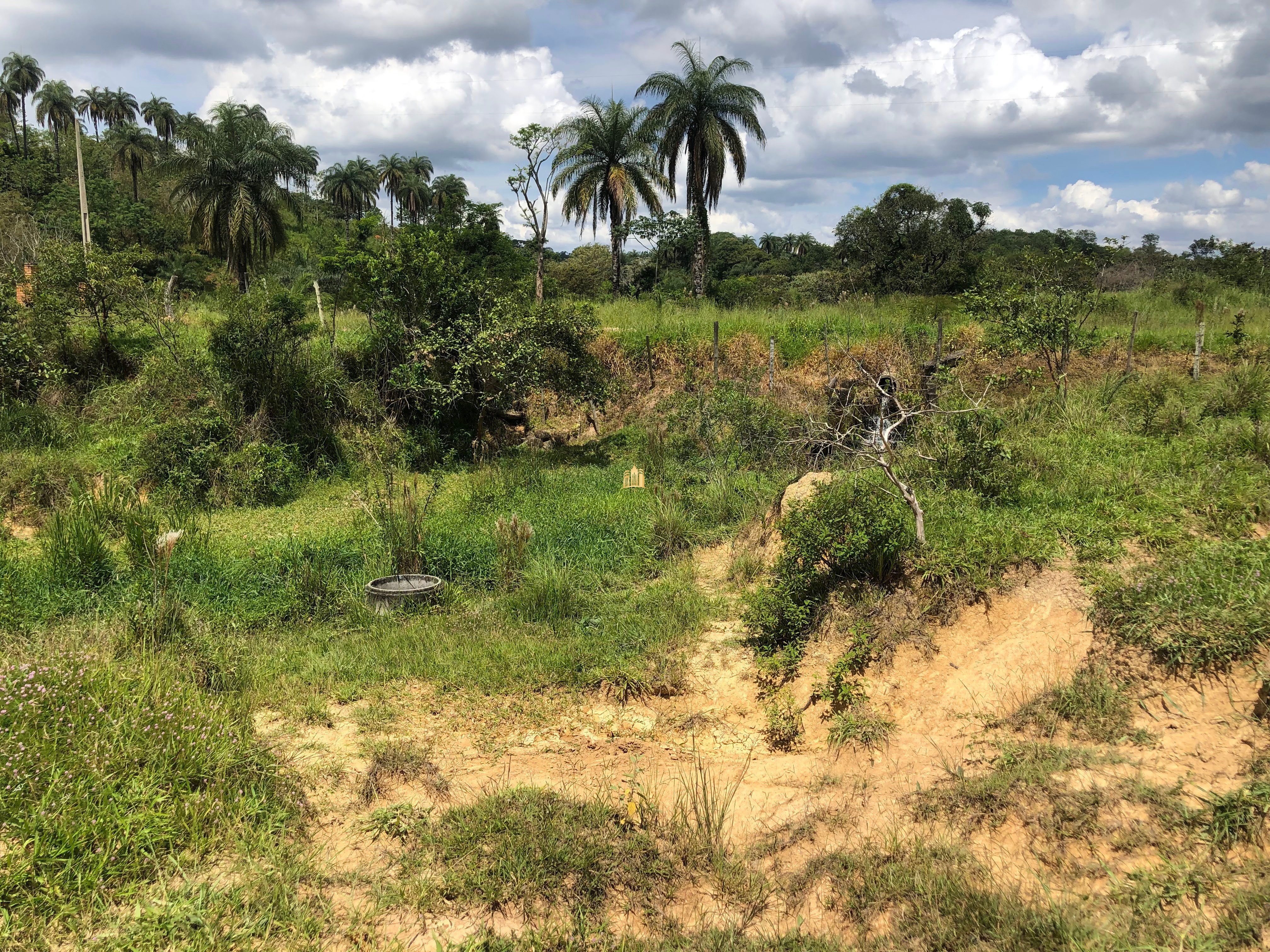 Loteamento e Condomínio à venda com 12 quartos, 47000m² - Foto 68