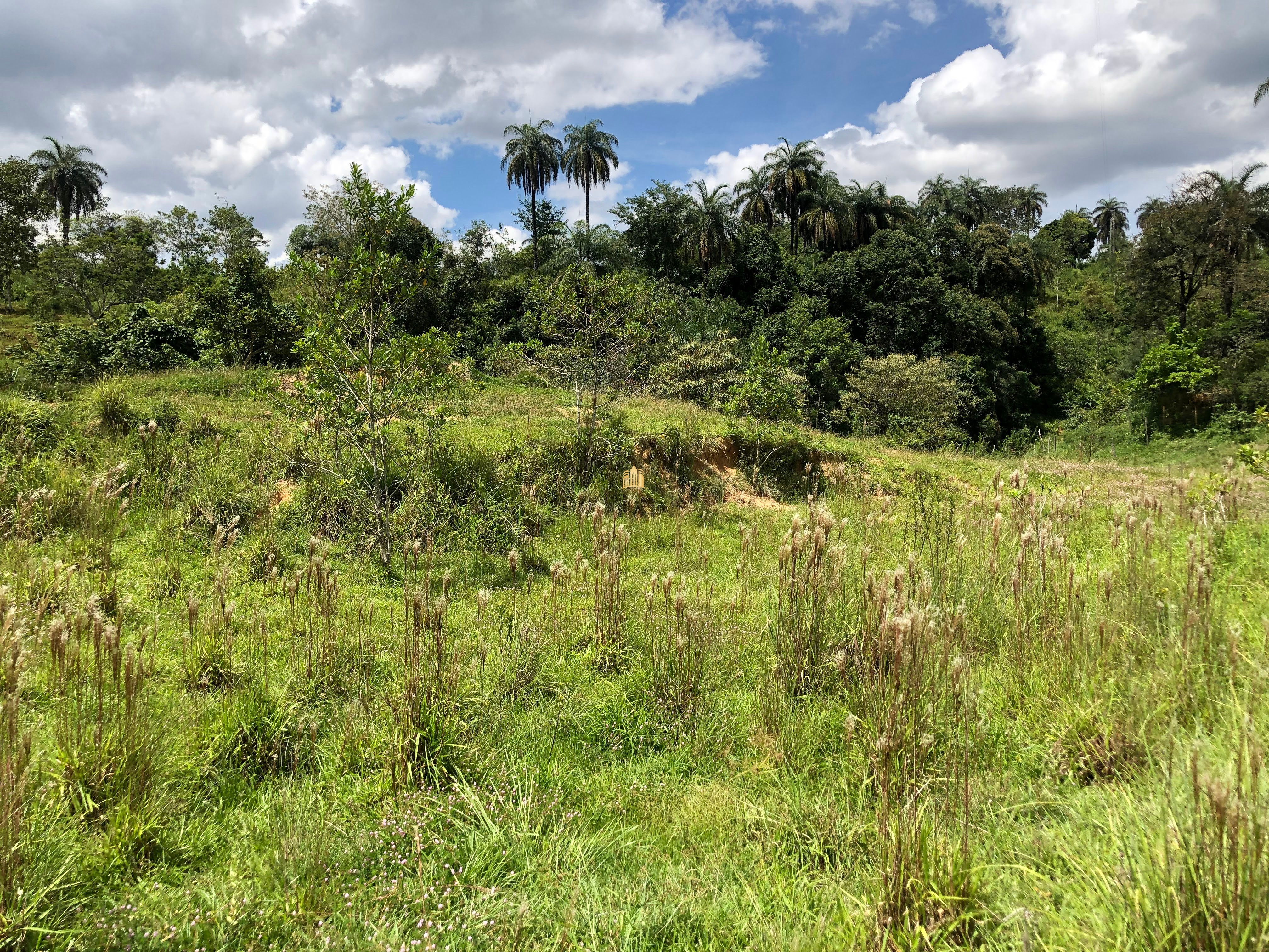 Loteamento e Condomínio à venda com 12 quartos, 47000m² - Foto 62