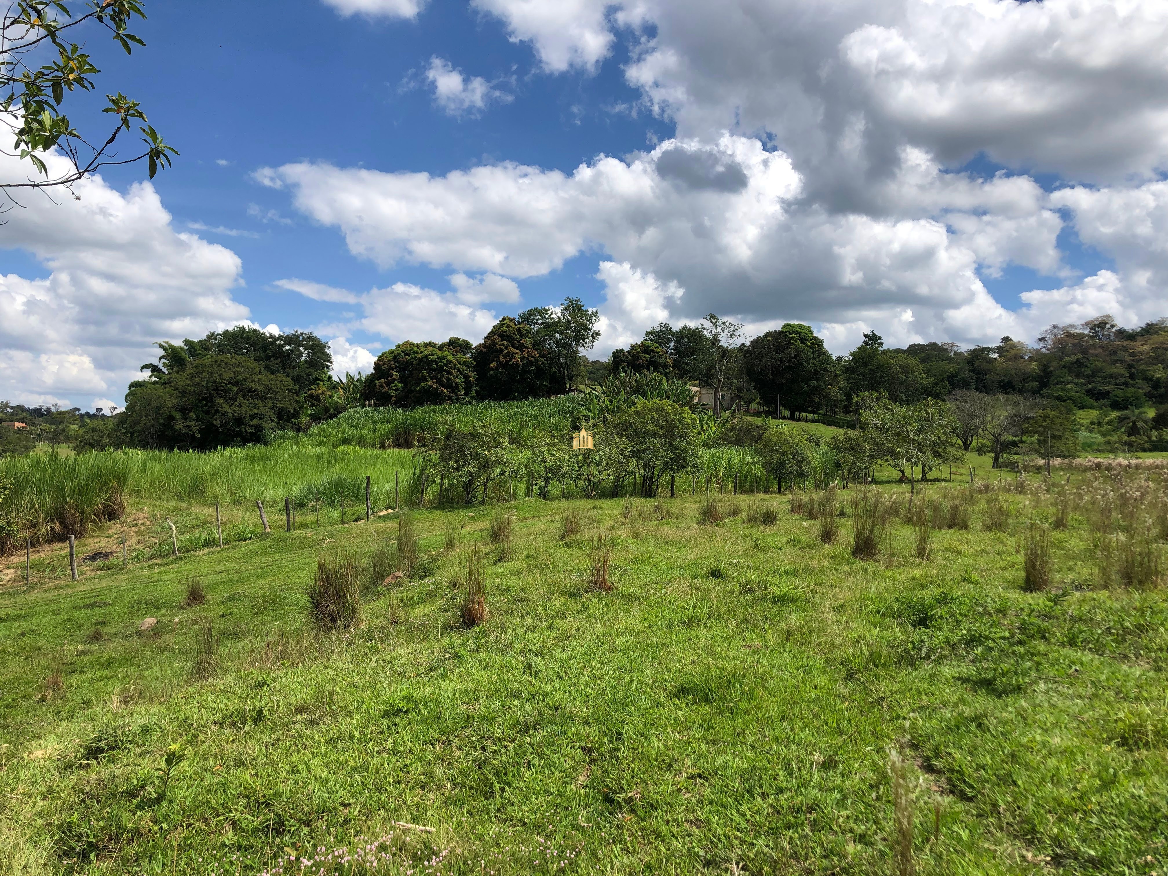 Loteamento e Condomínio à venda com 12 quartos, 47000m² - Foto 29