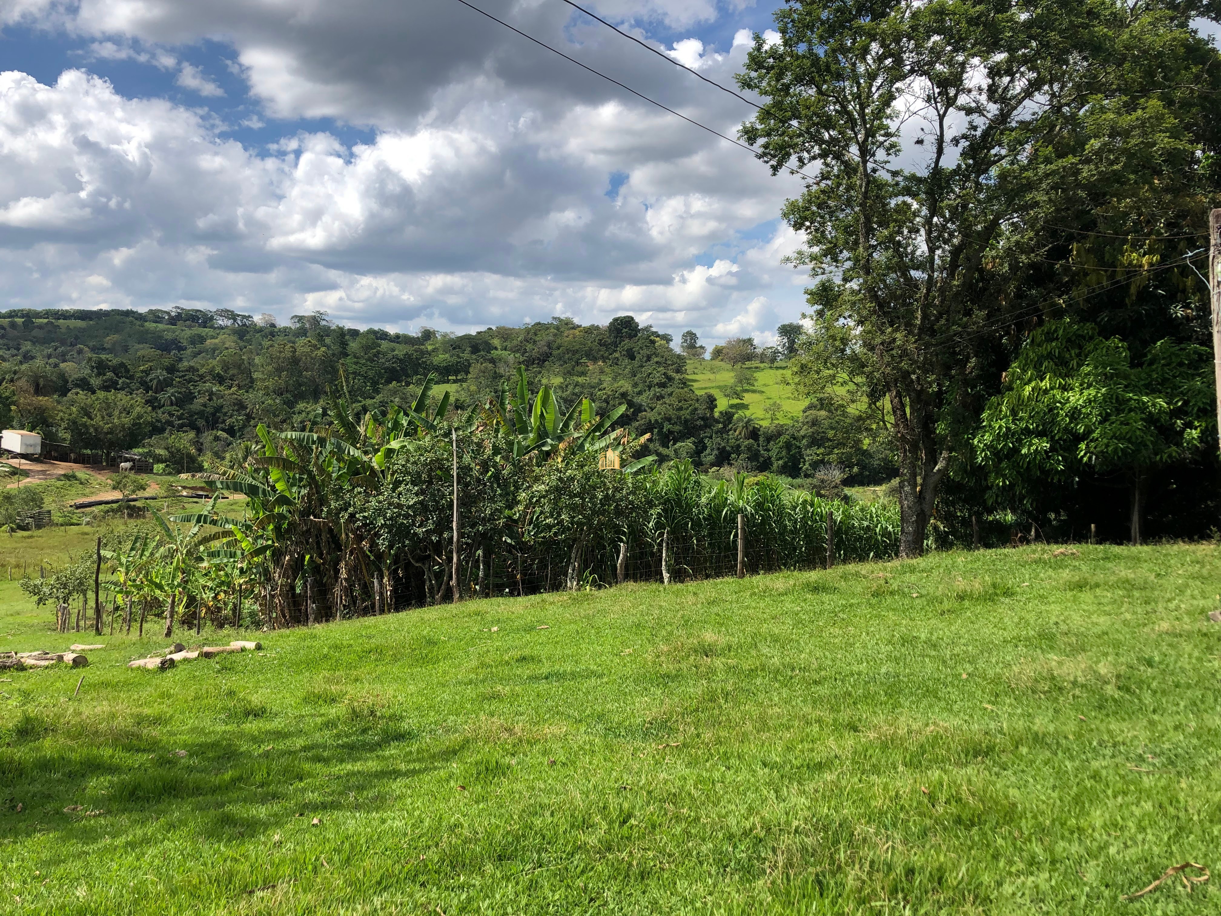 Loteamento e Condomínio à venda com 12 quartos, 47000m² - Foto 7