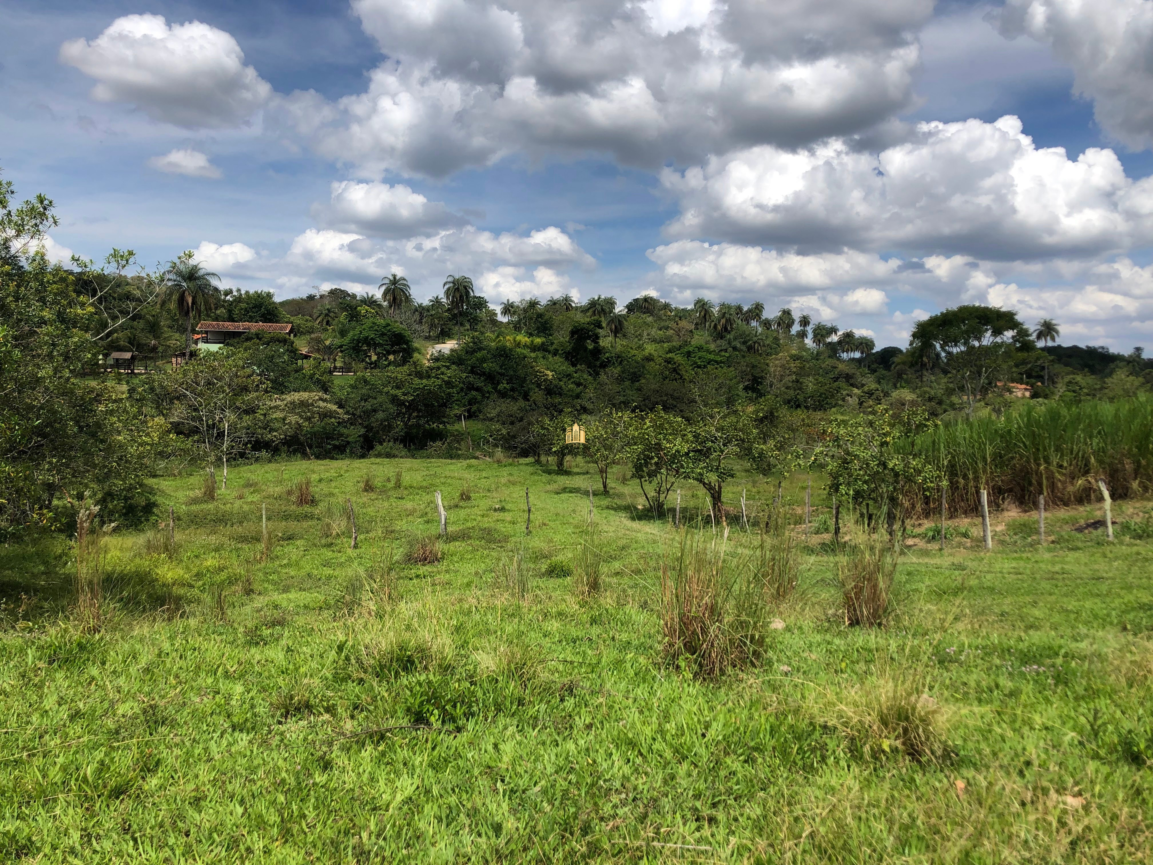 Loteamento e Condomínio à venda com 12 quartos, 47000m² - Foto 36