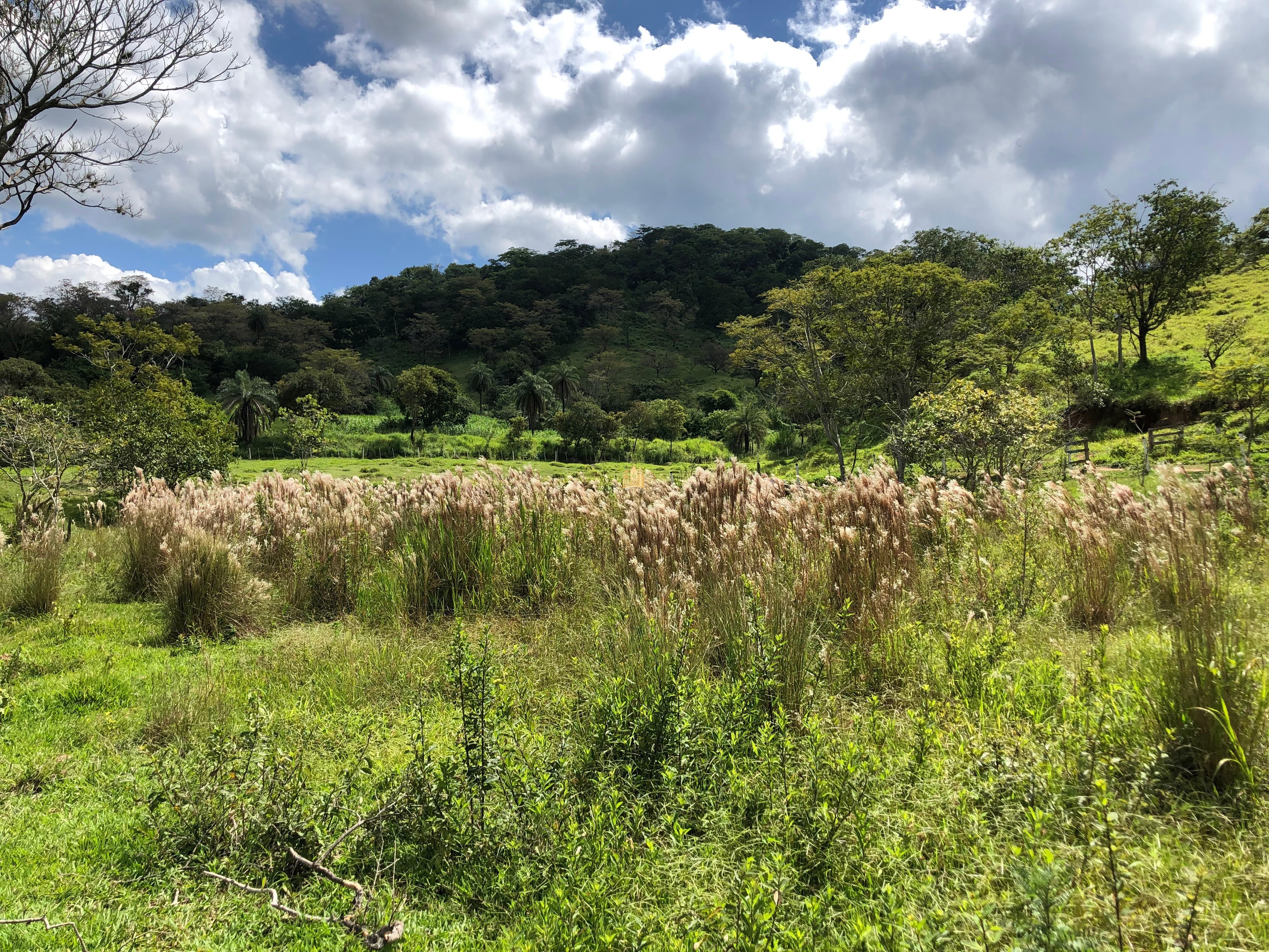 Loteamento e Condomínio à venda com 12 quartos, 47000m² - Foto 17