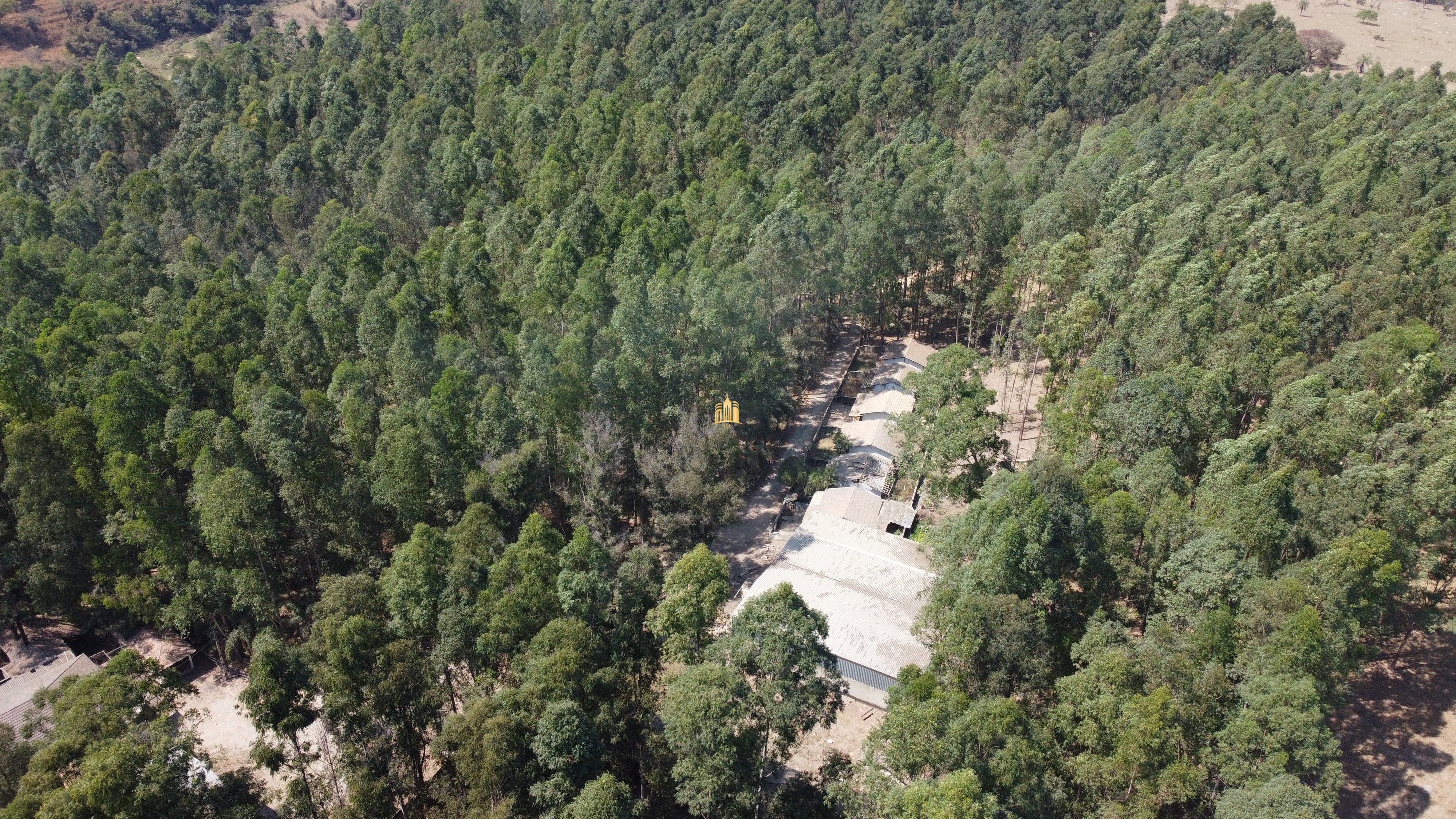 Fazenda à venda com 3 quartos, 3010000m² - Foto 38