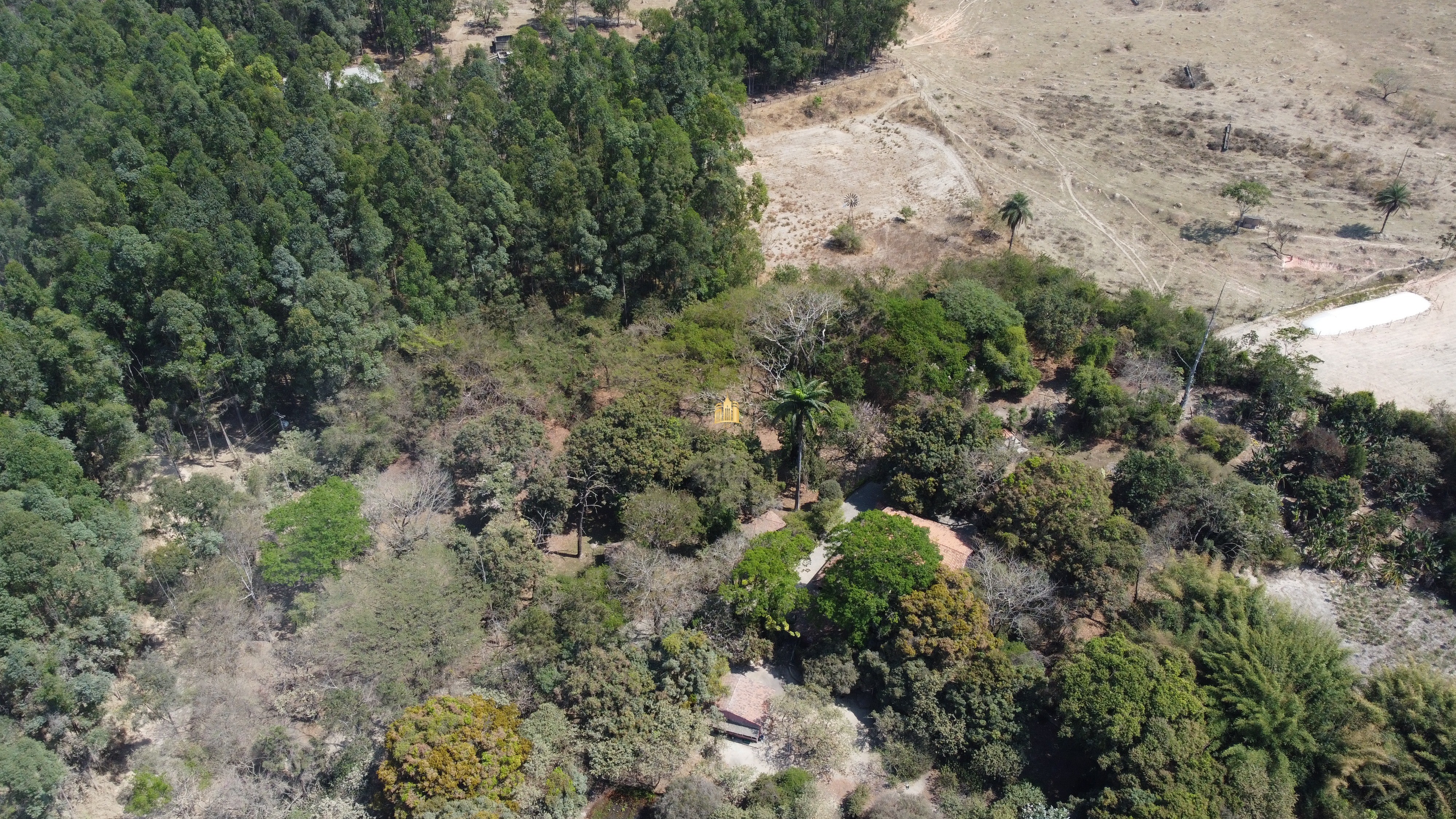 Fazenda à venda com 3 quartos, 3010000m² - Foto 12