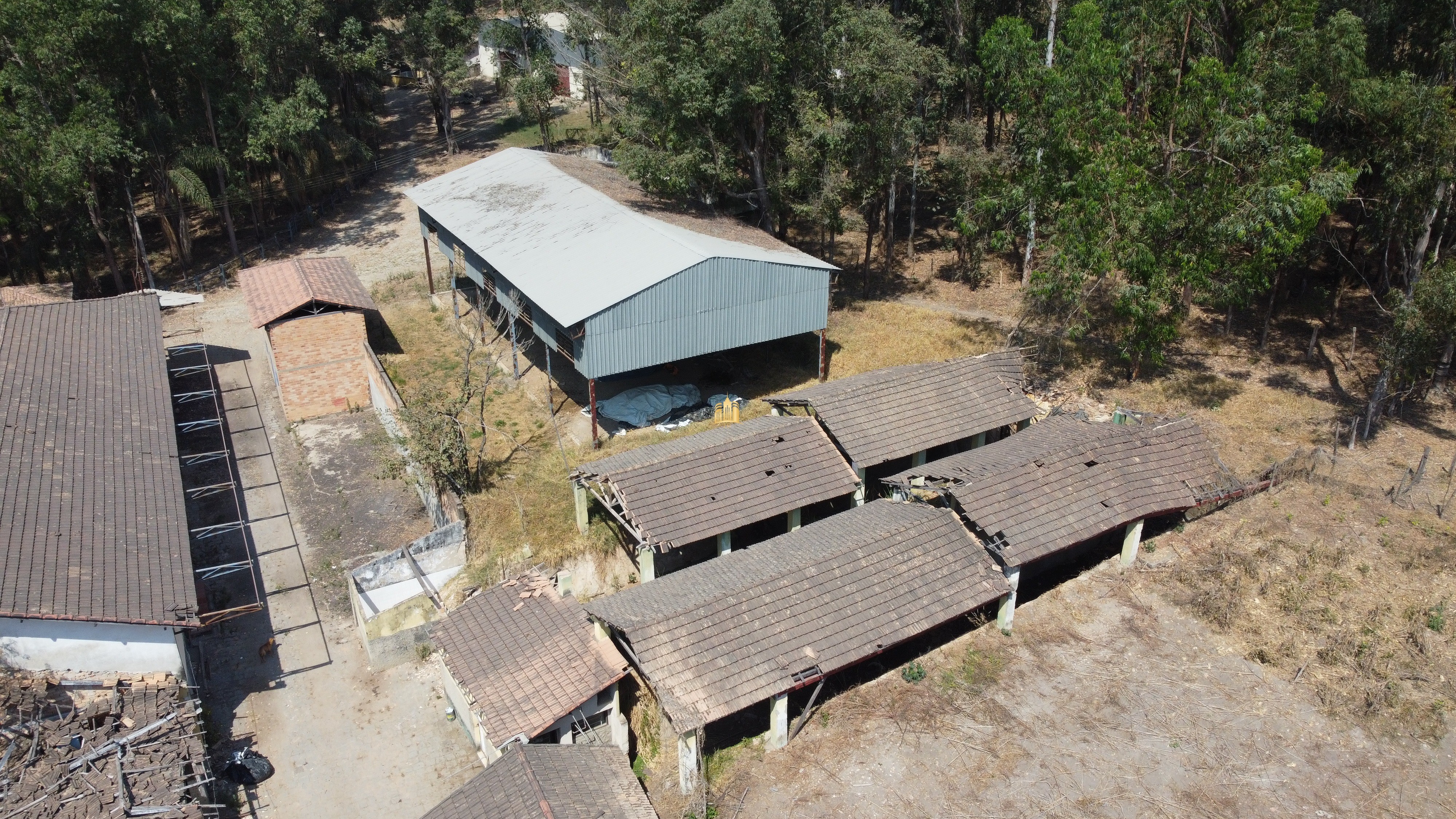 Fazenda à venda com 3 quartos, 3010000m² - Foto 43