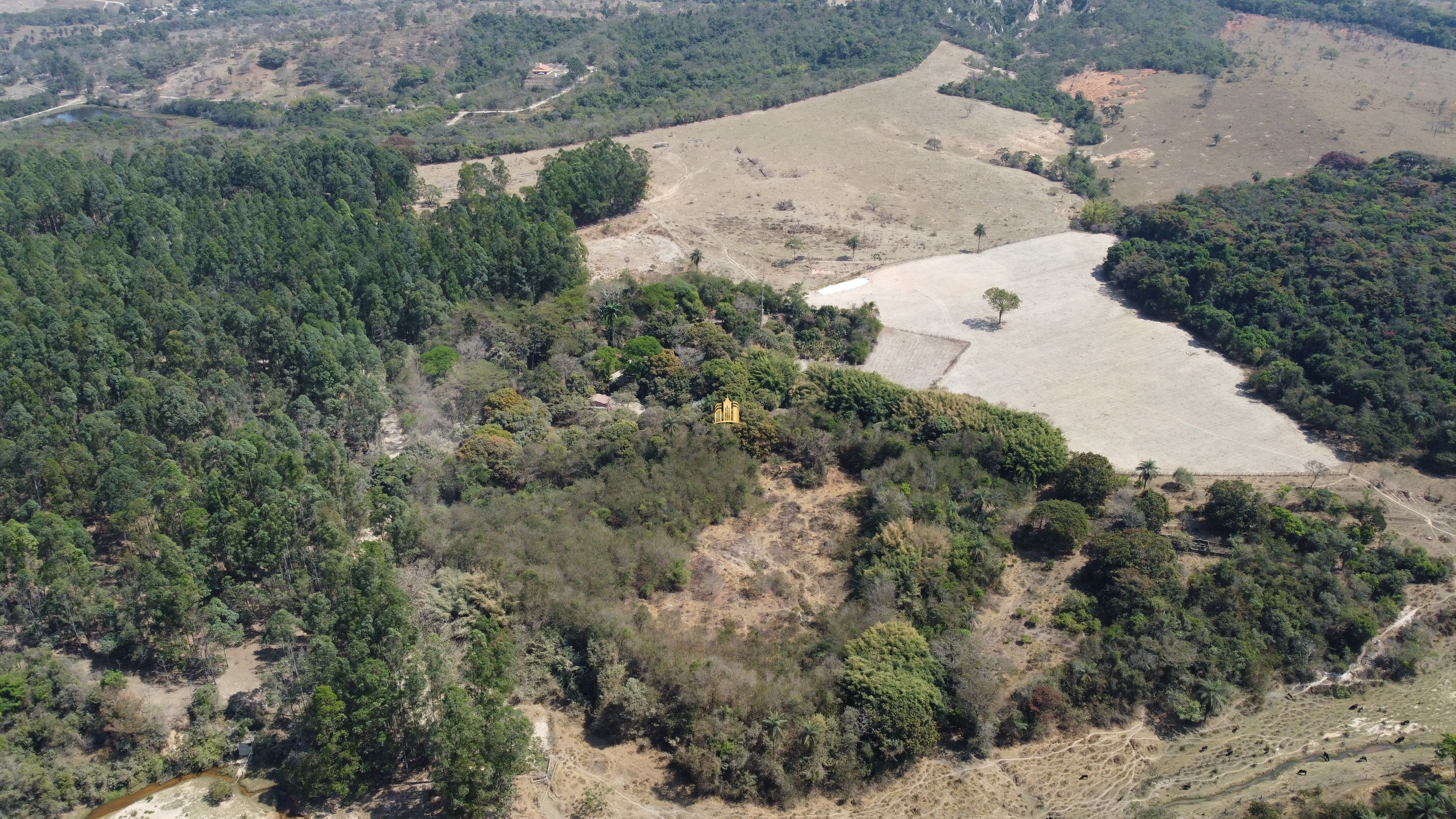 Fazenda à venda com 3 quartos, 3010000m² - Foto 120