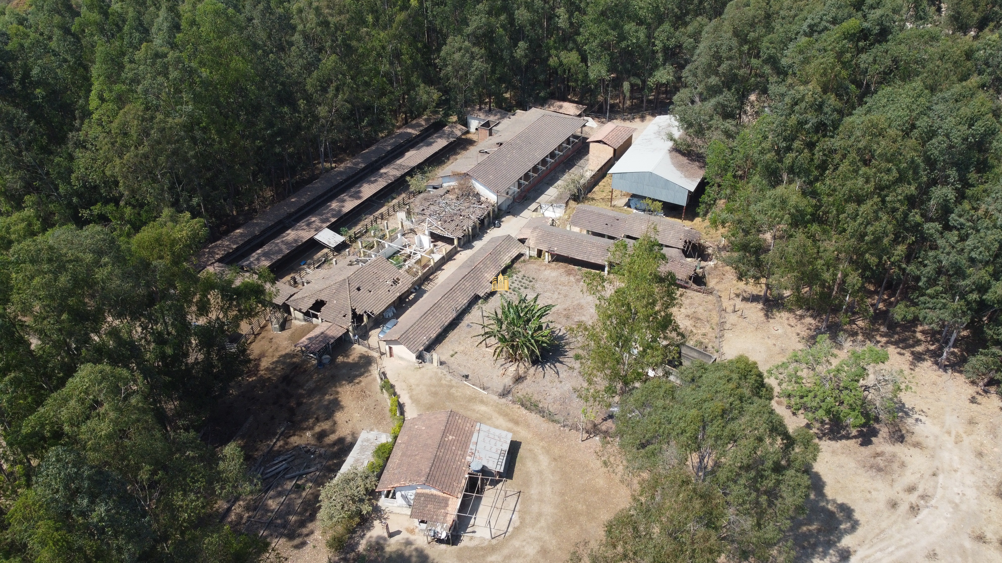 Fazenda à venda com 3 quartos, 3010000m² - Foto 6