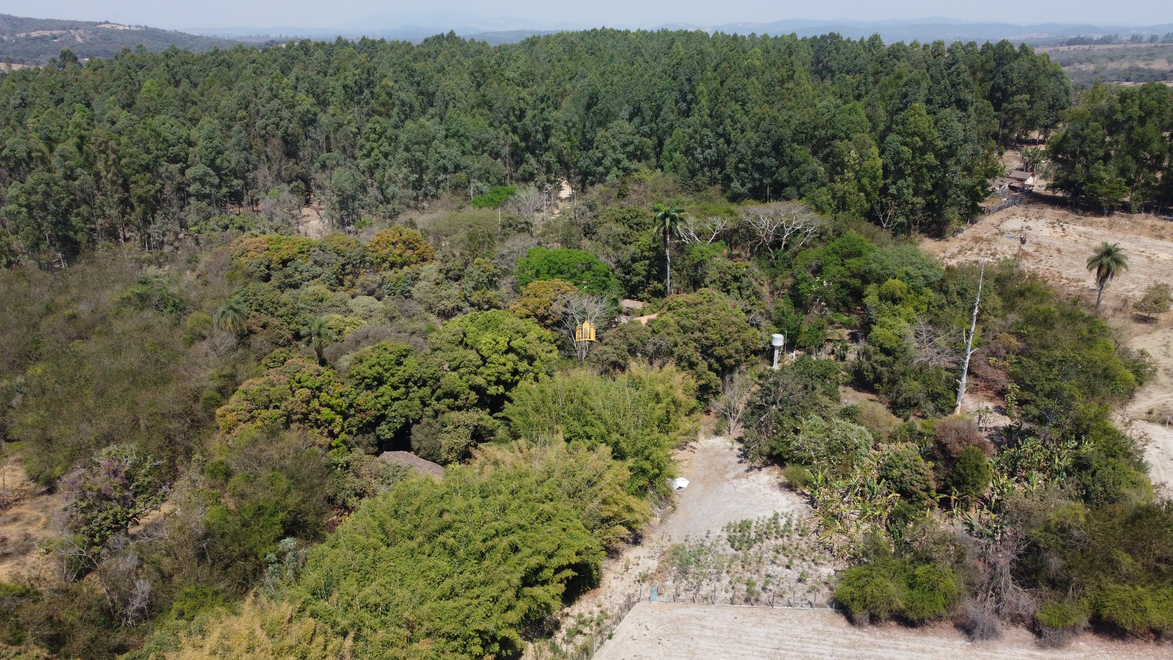 Fazenda à venda com 3 quartos, 3010000m² - Foto 18