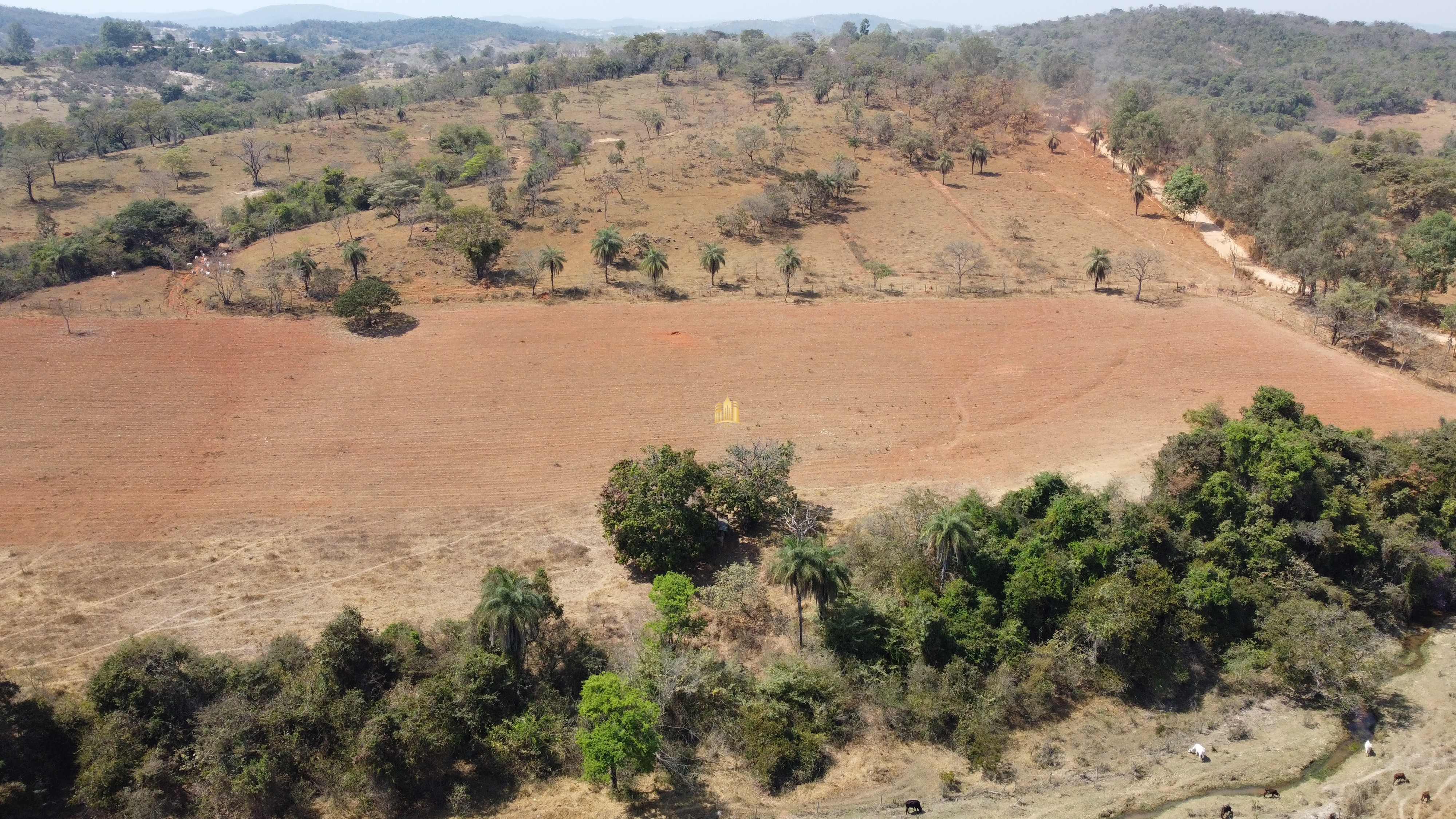 Fazenda à venda com 3 quartos, 3010000m² - Foto 123