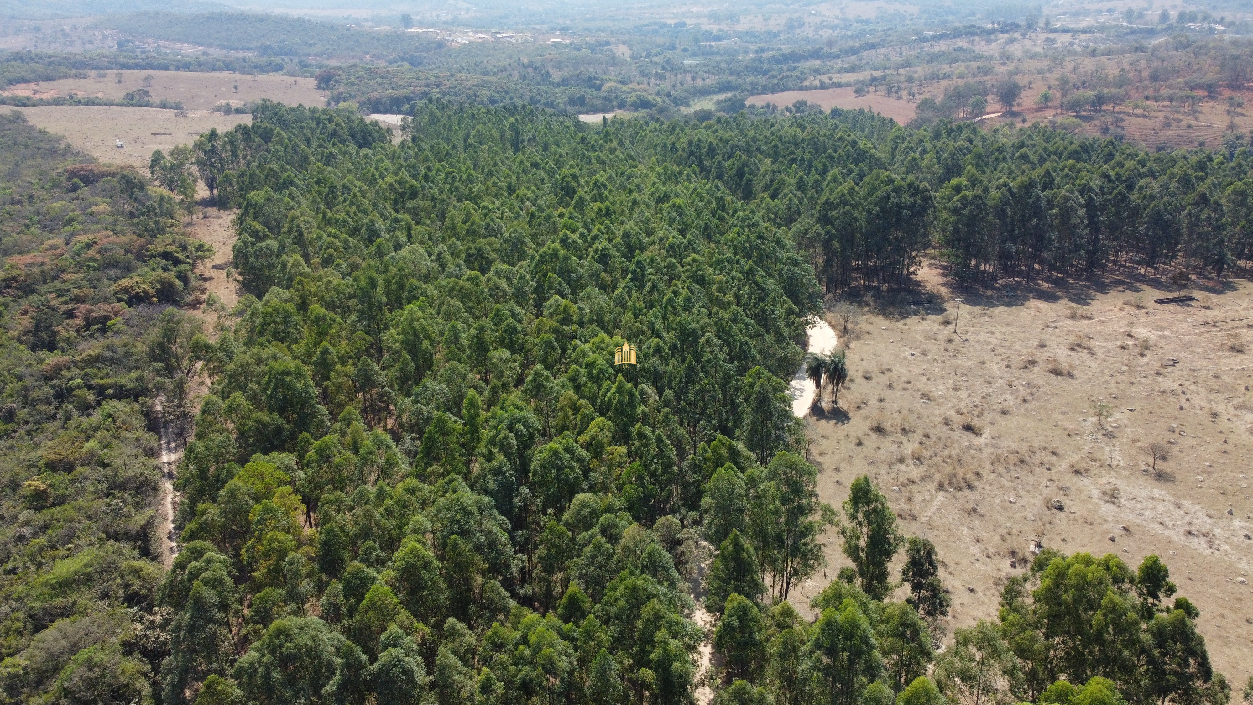 Fazenda à venda com 3 quartos, 3010000m² - Foto 51