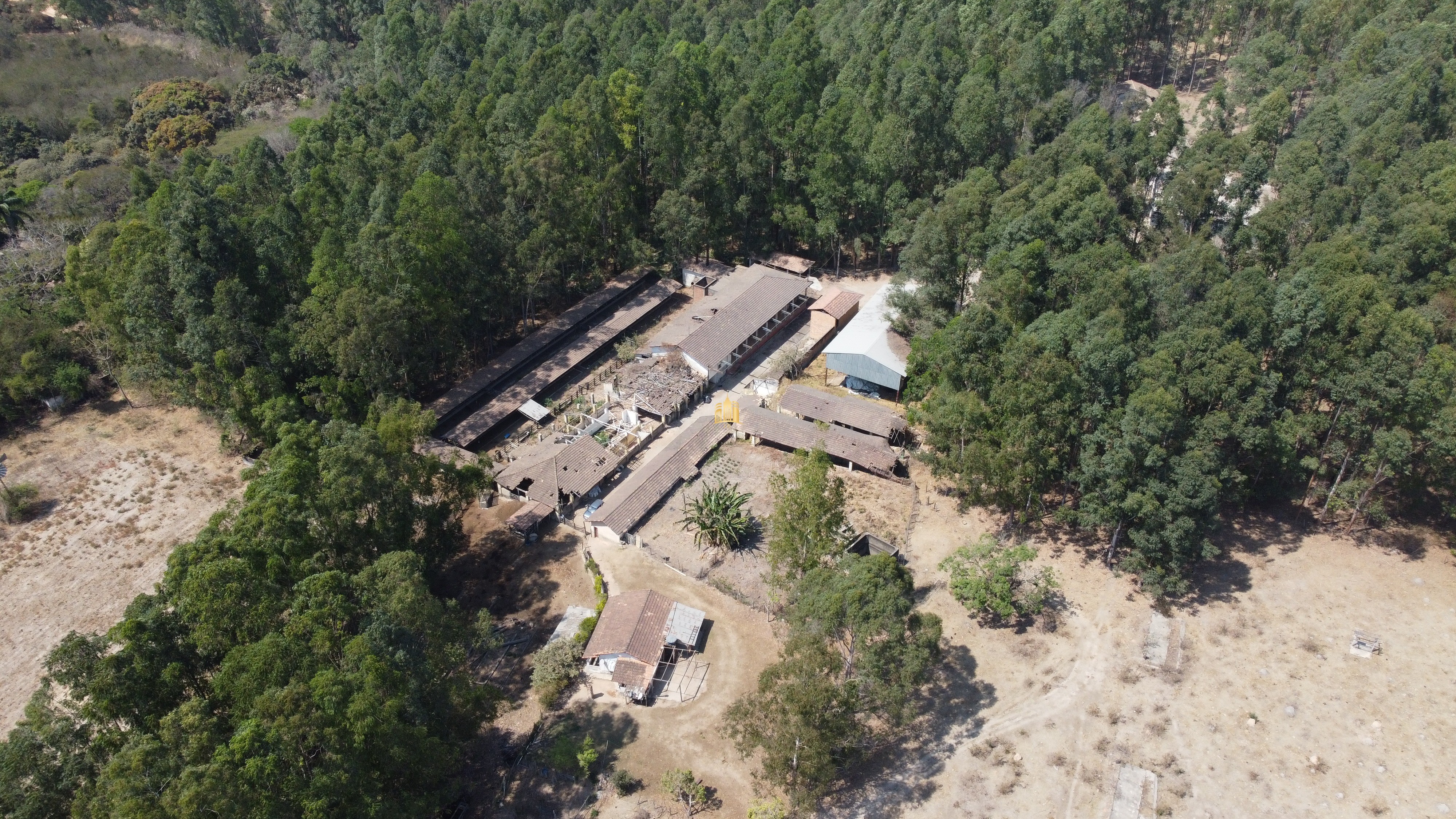 Fazenda à venda com 3 quartos, 3010000m² - Foto 7