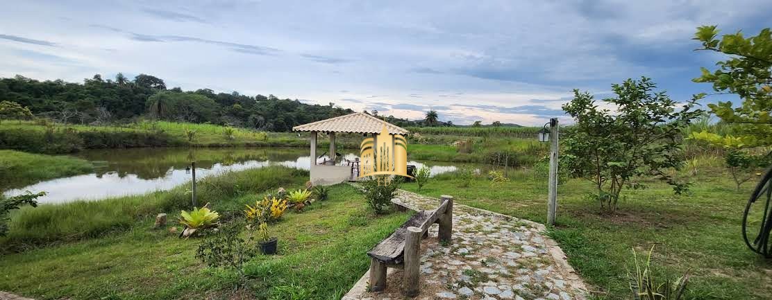 Sítio à venda e aluguel com 4 quartos, 10000m² - Foto 19