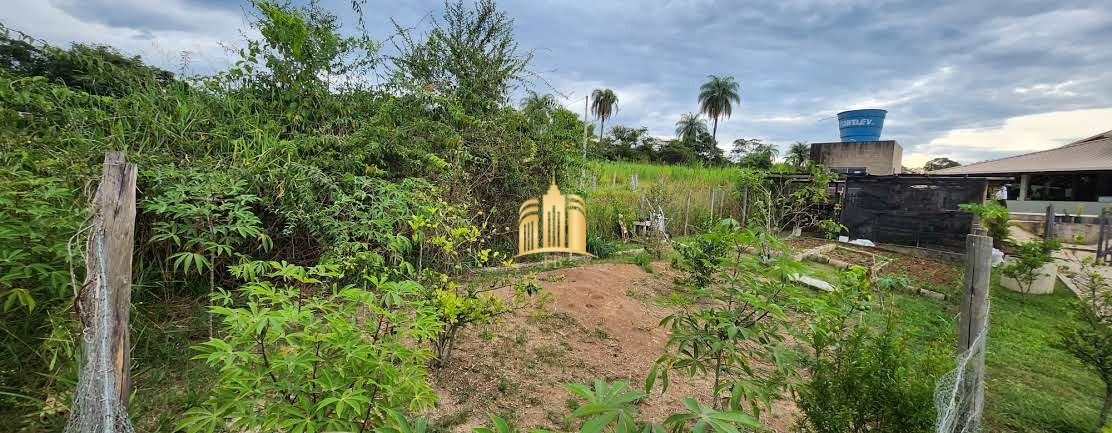 Sítio à venda e aluguel com 4 quartos, 10000m² - Foto 53