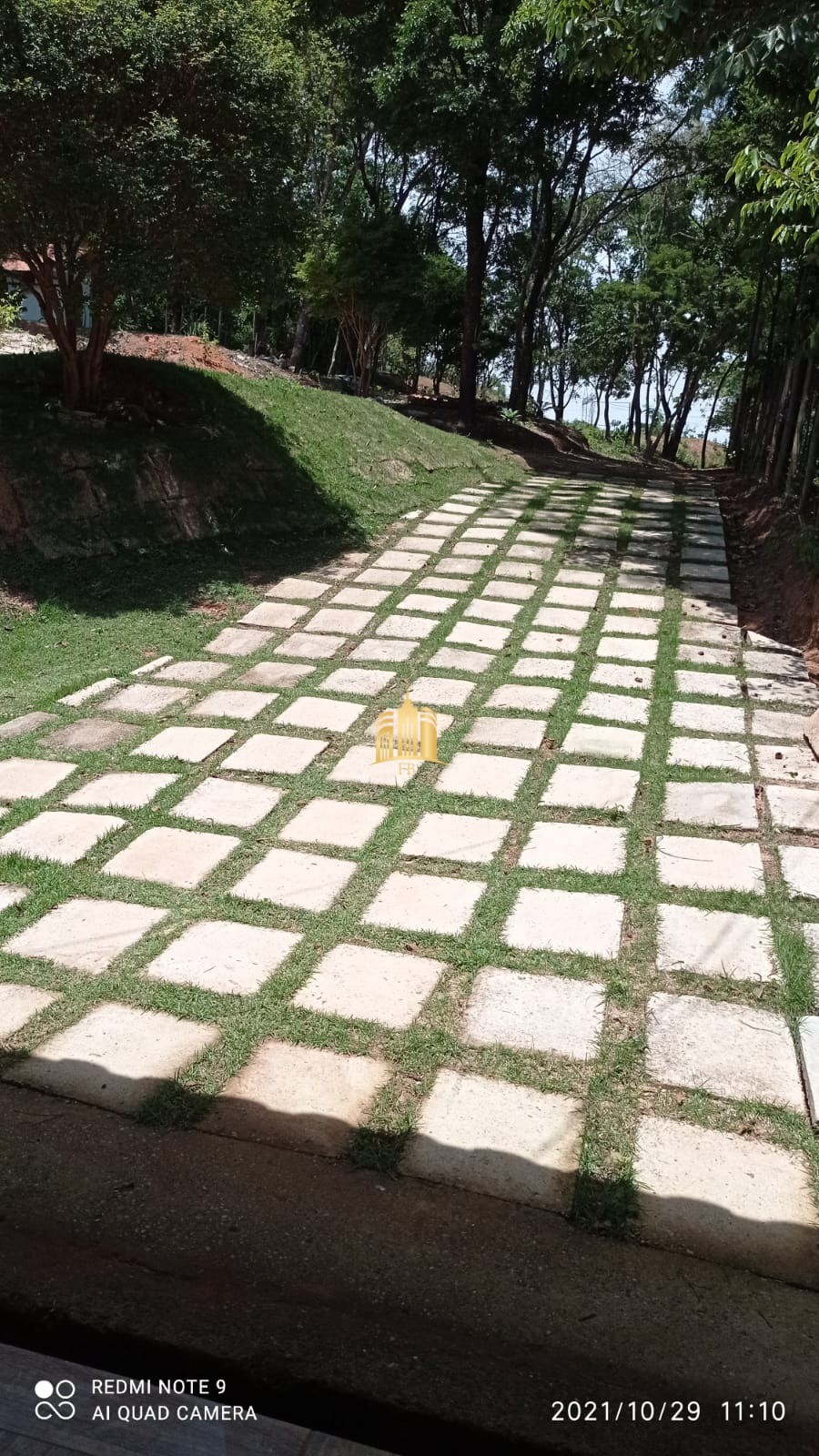 Sítio, 4 quartos, 3300 m² - Foto 3