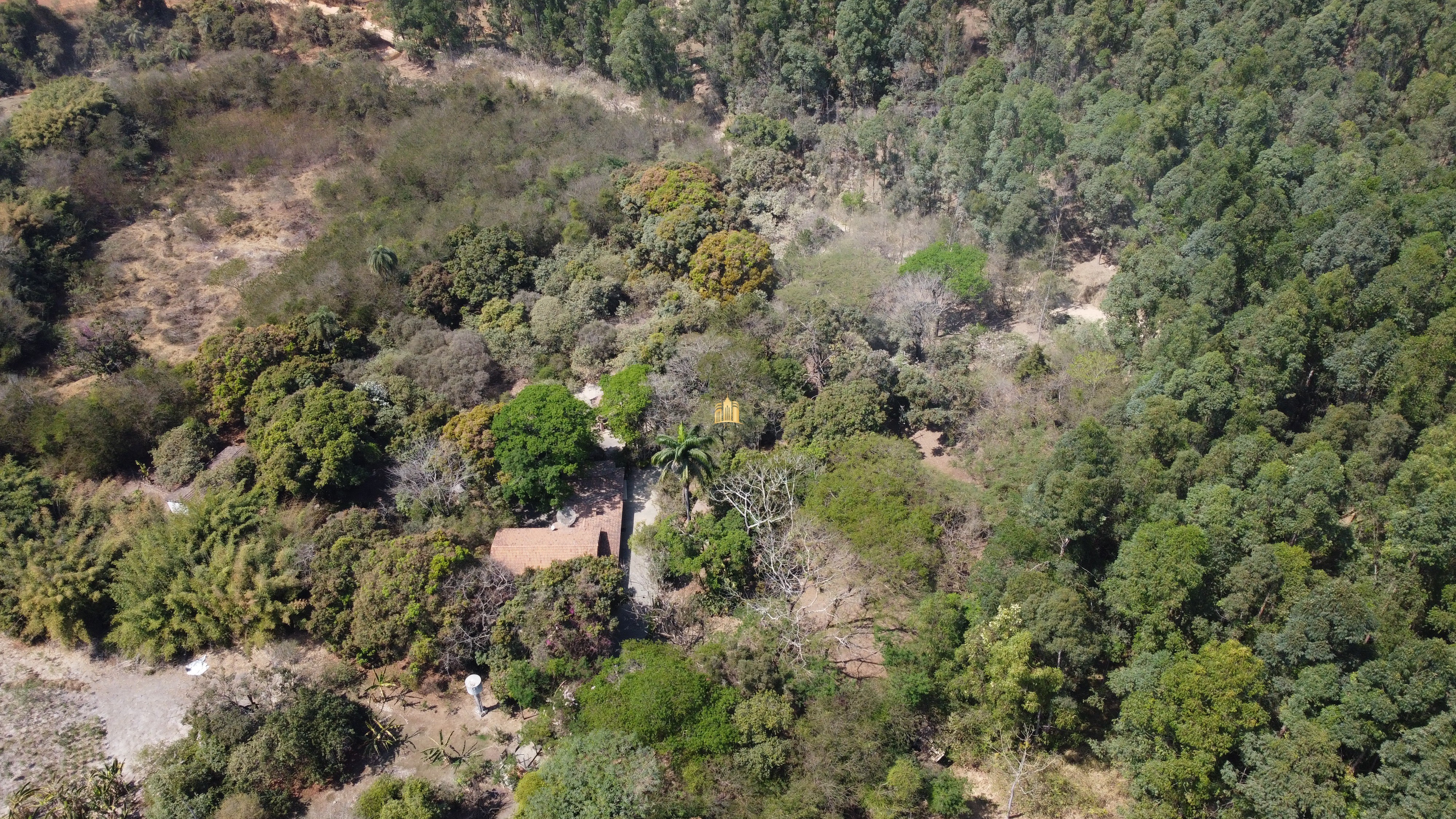 Fazenda à venda com 3 quartos, 3010000m² - Foto 14