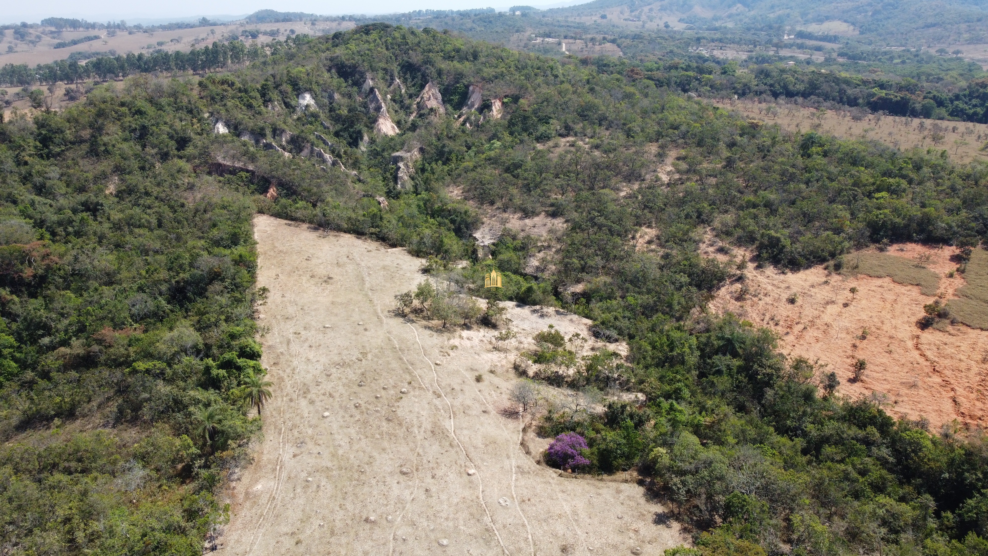 Fazenda à venda com 3 quartos, 3010000m² - Foto 21