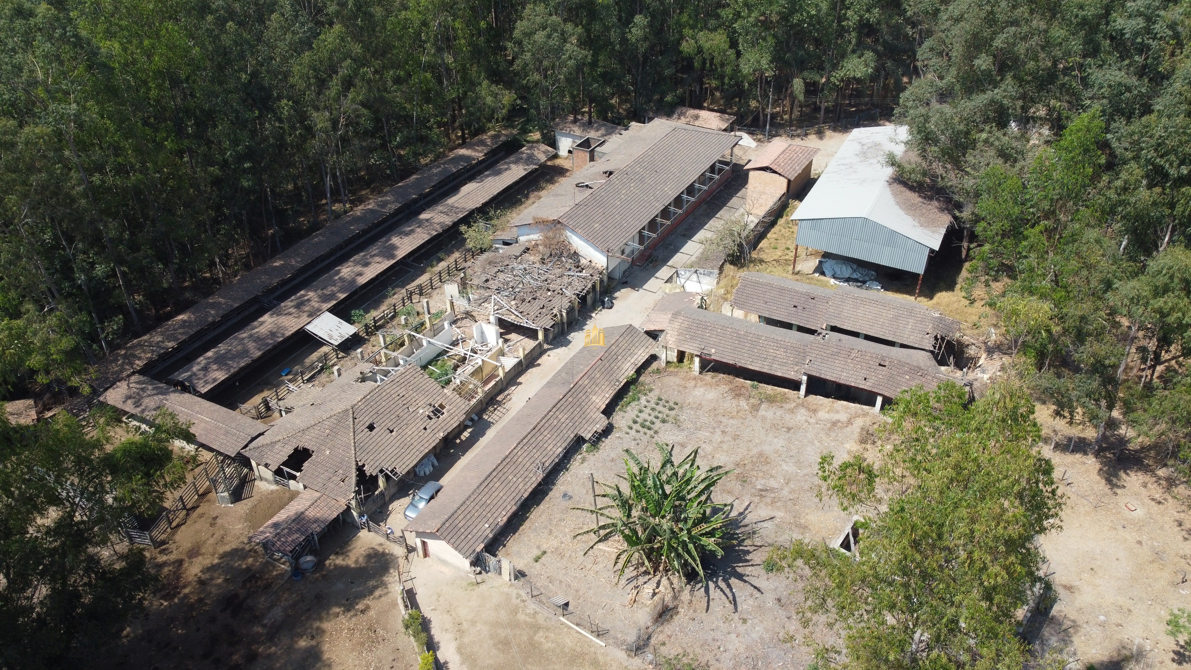 Fazenda à venda com 3 quartos, 3010000m² - Foto 9