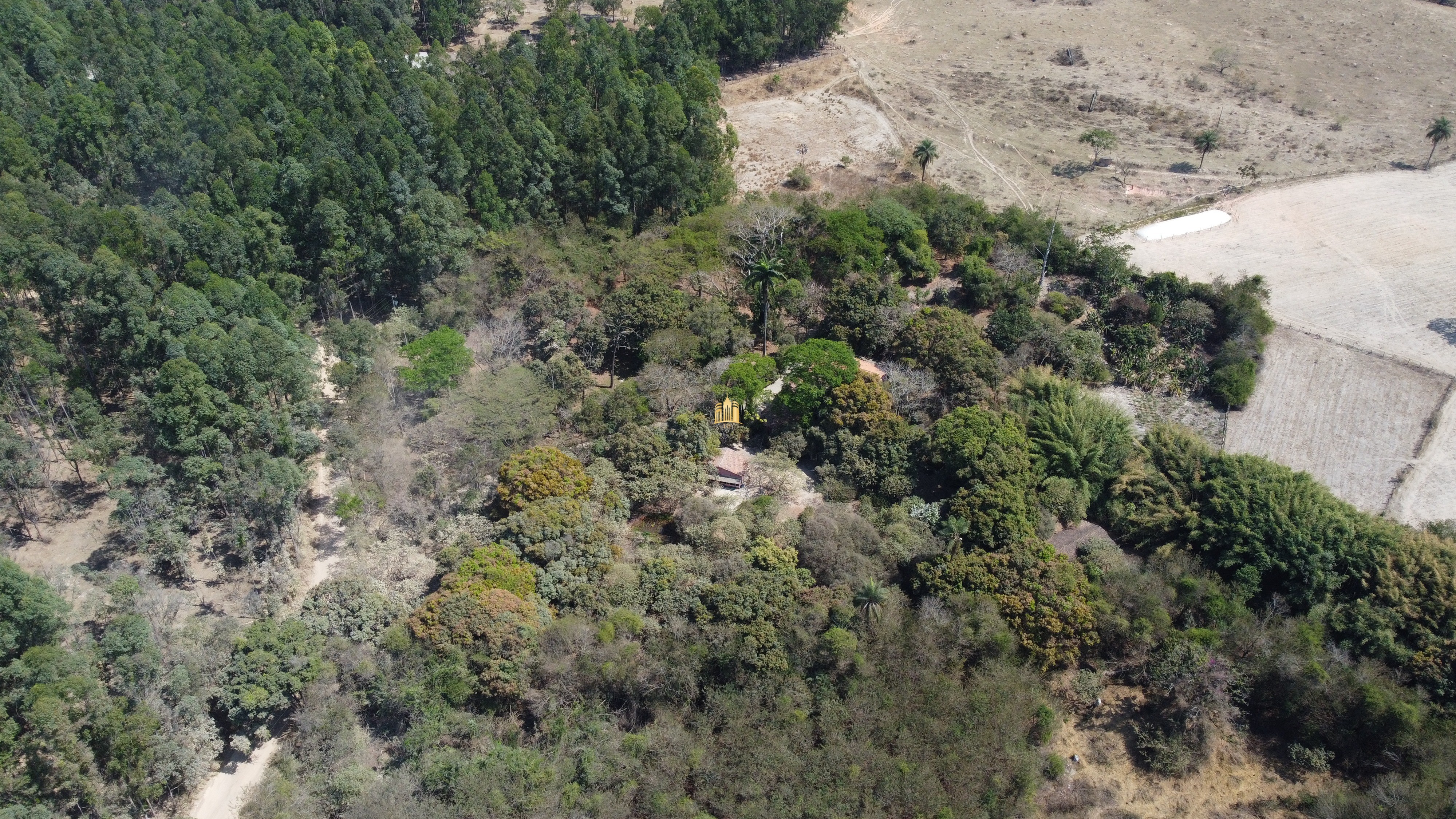 Fazenda à venda com 3 quartos, 3010000m² - Foto 105