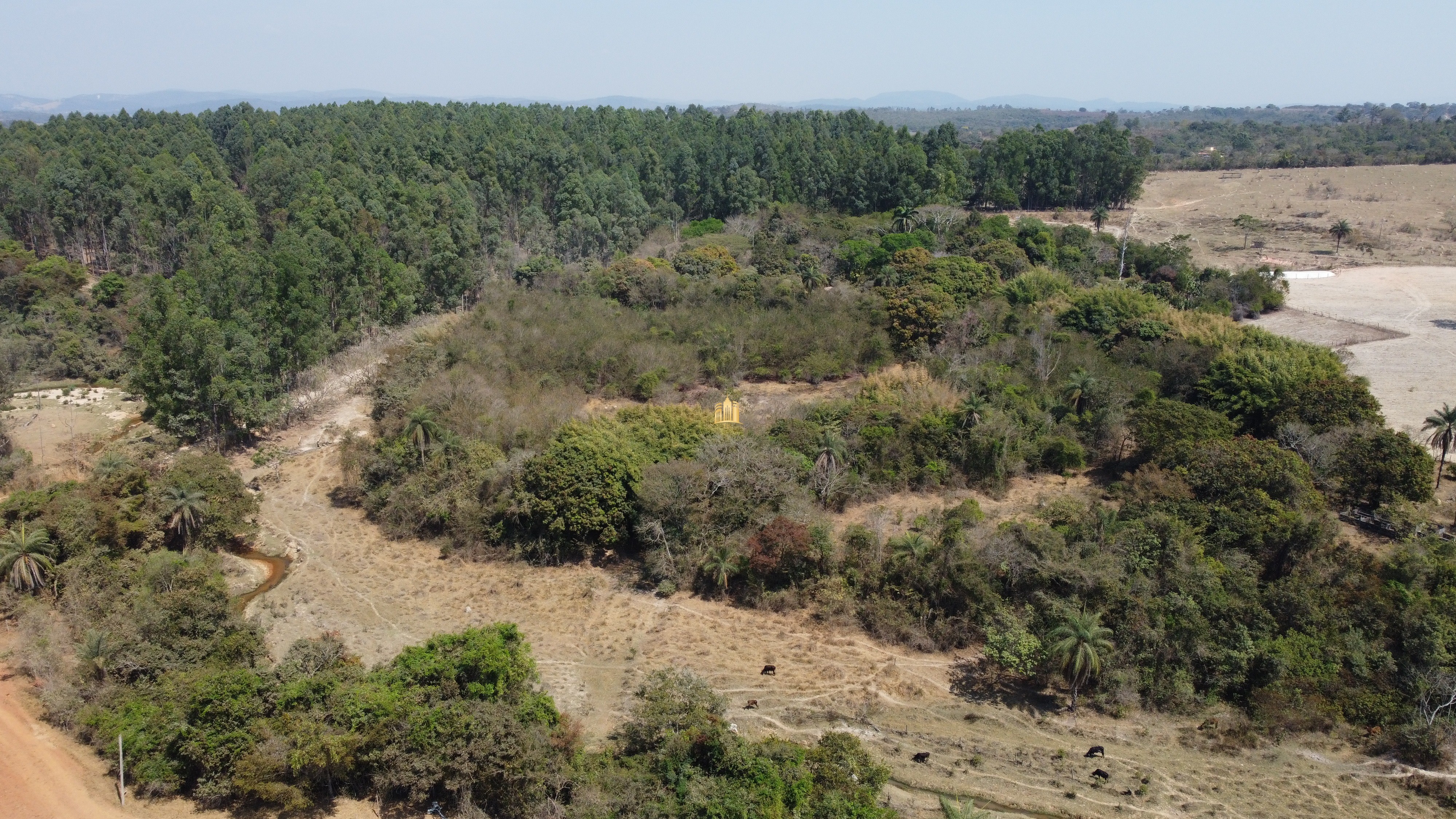 Fazenda à venda com 3 quartos, 3010000m² - Foto 15