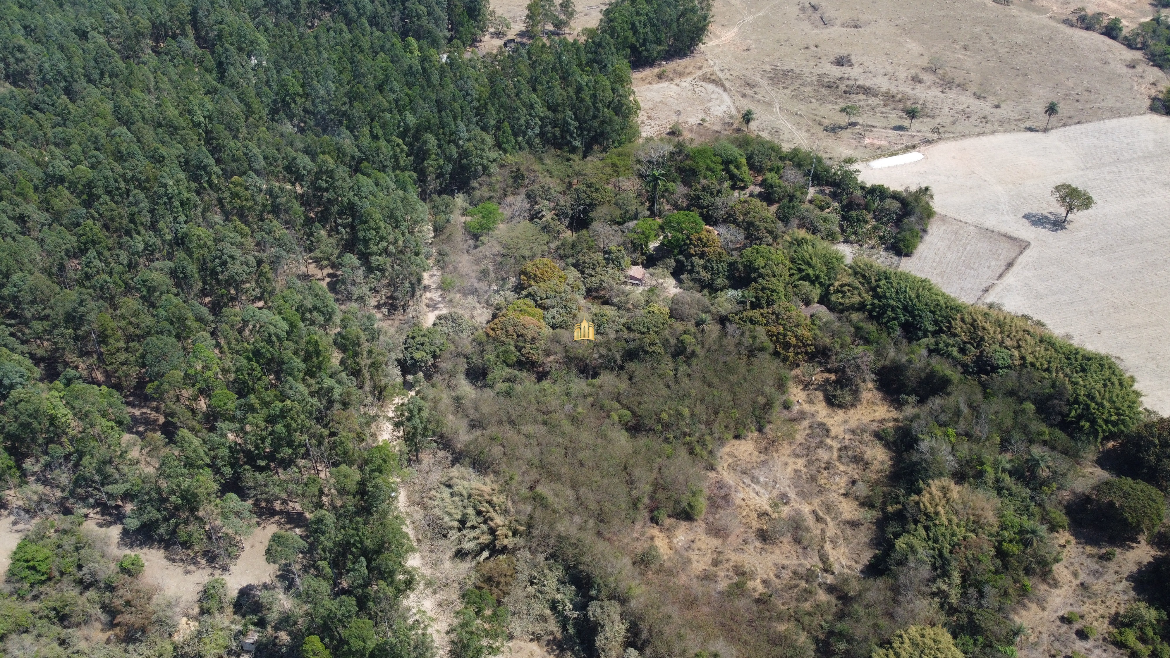 Fazenda à venda com 3 quartos, 3010000m² - Foto 104