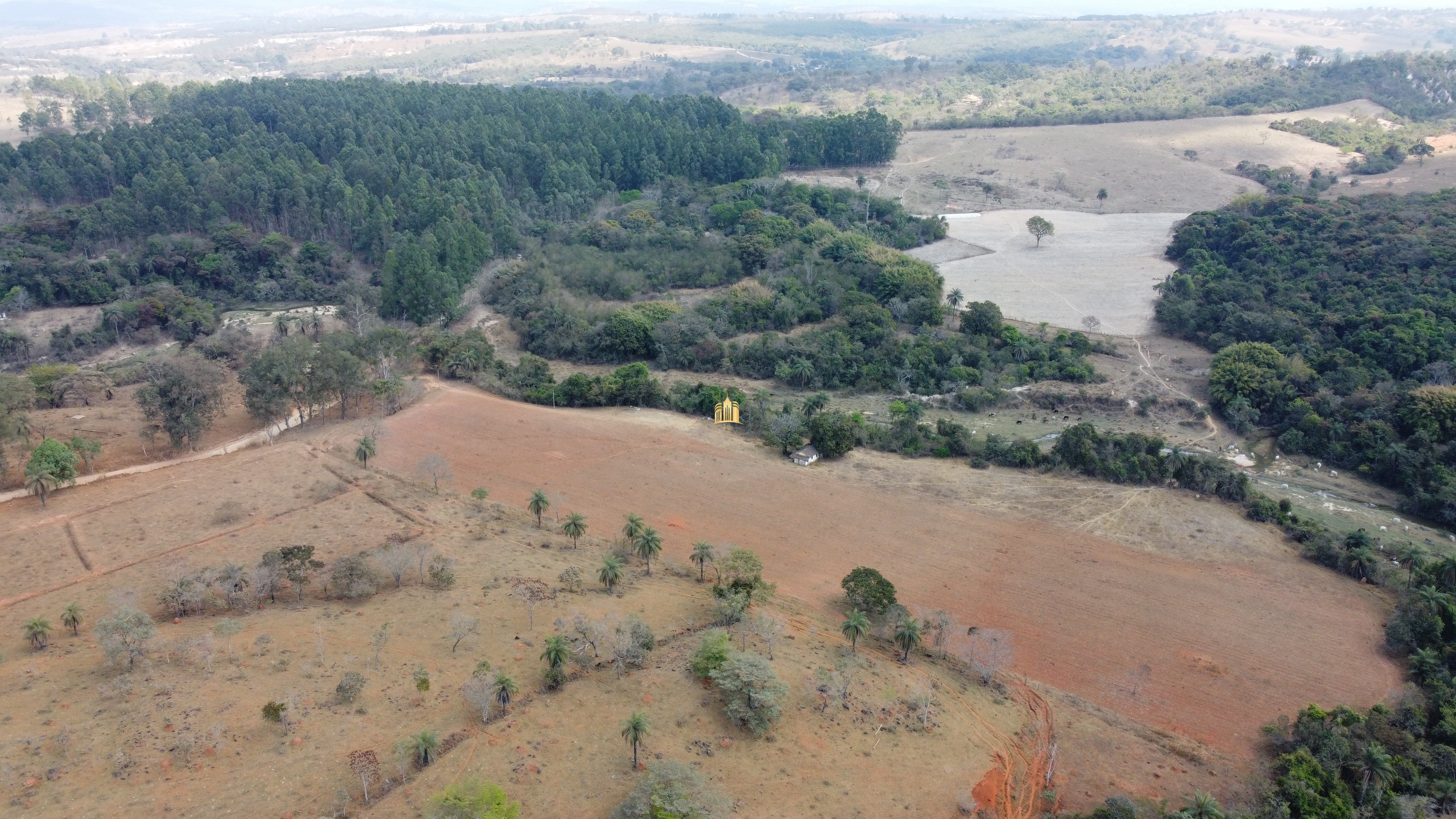 Fazenda à venda com 3 quartos, 3010000m² - Foto 84