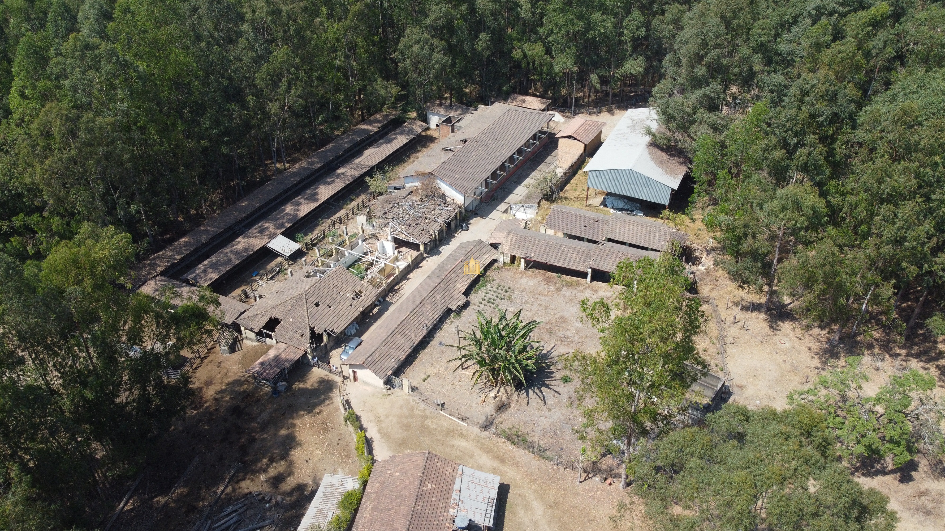 Fazenda à venda com 3 quartos, 3010000m² - Foto 4