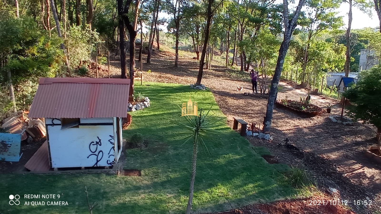 Sítio, 4 quartos, 3300 m² - Foto 2