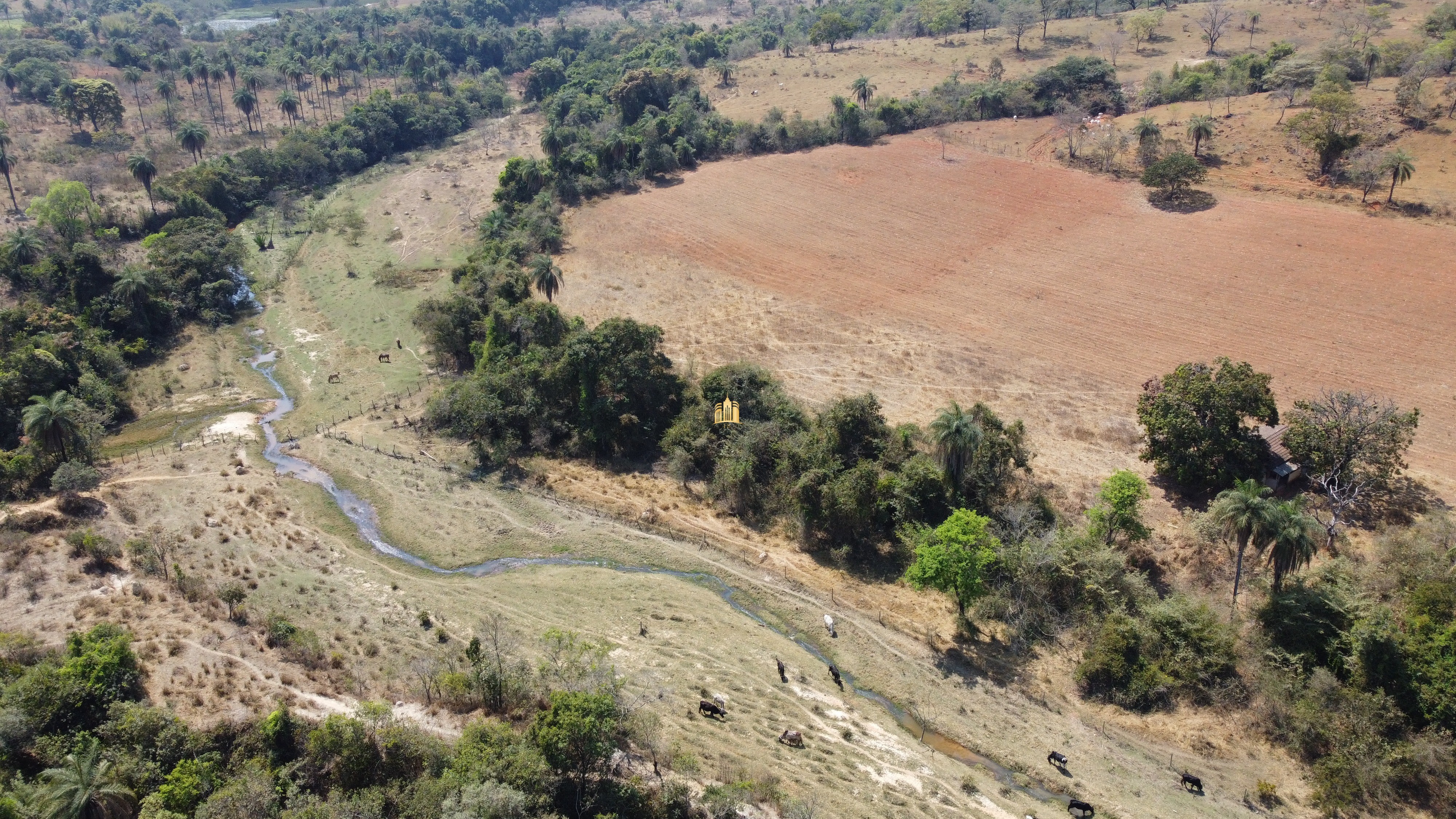 Fazenda à venda com 3 quartos, 3010000m² - Foto 122