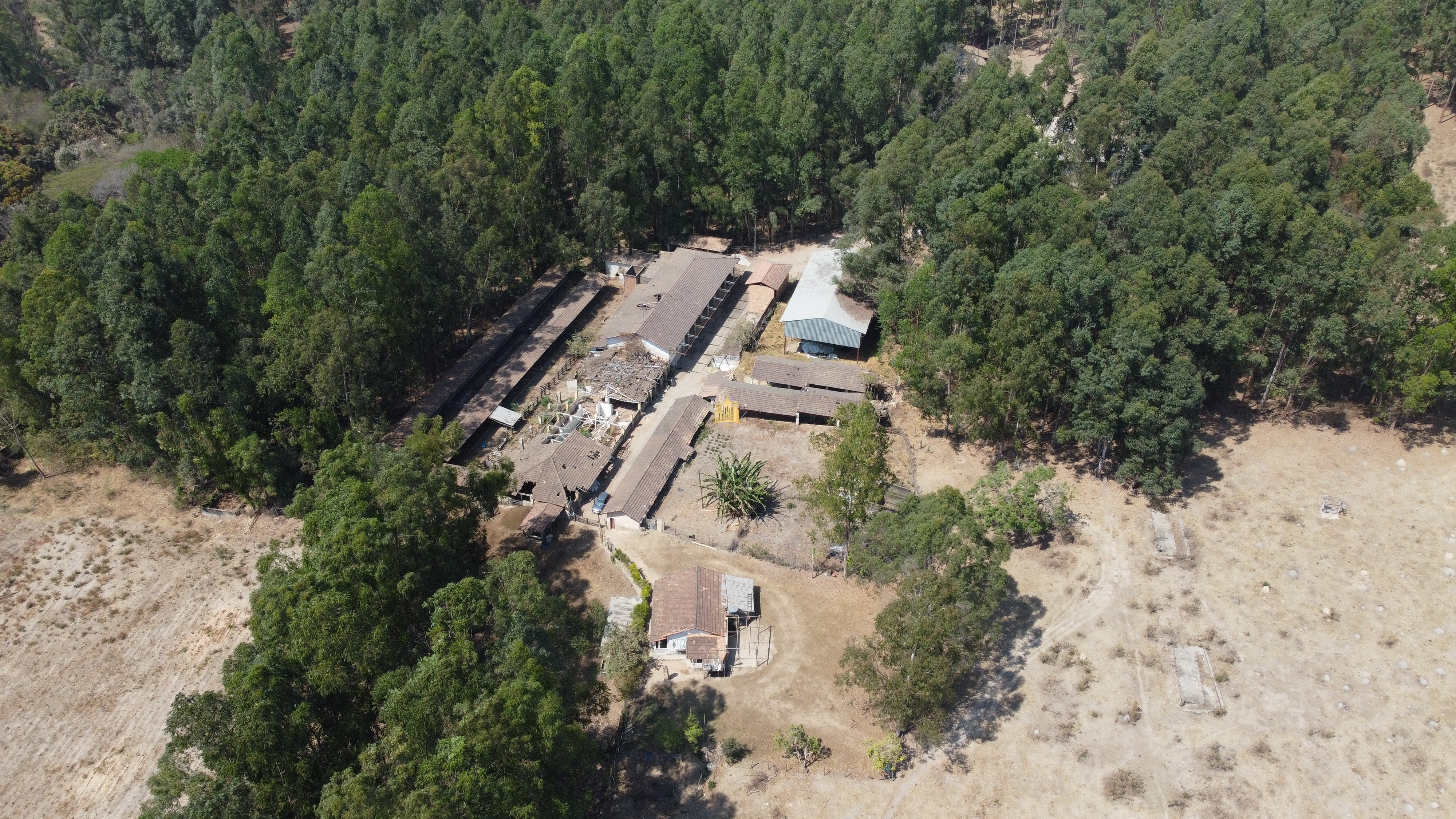 Fazenda à venda com 3 quartos, 3010000m² - Foto 2