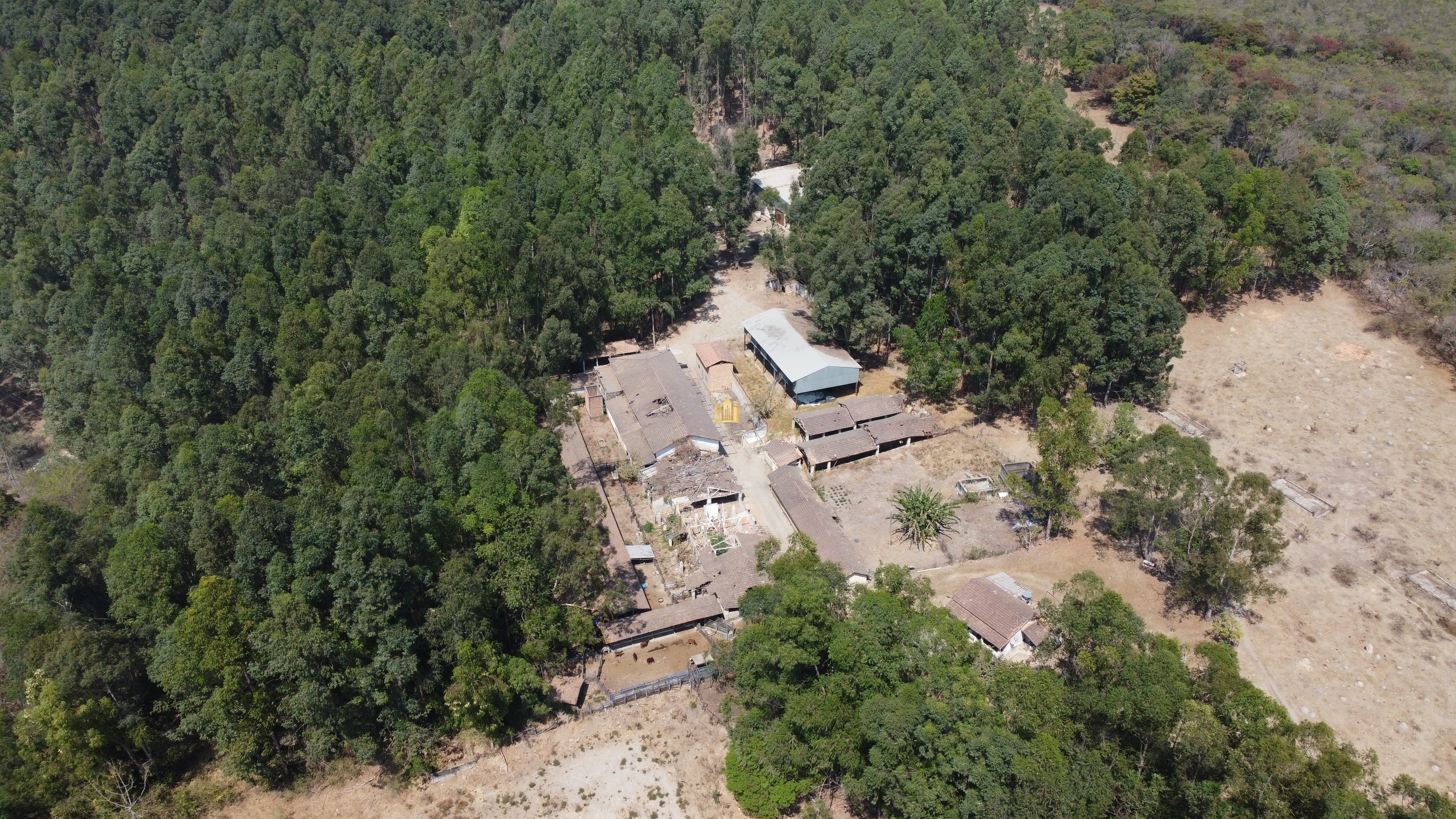 Fazenda à venda com 3 quartos, 3010000m² - Foto 3