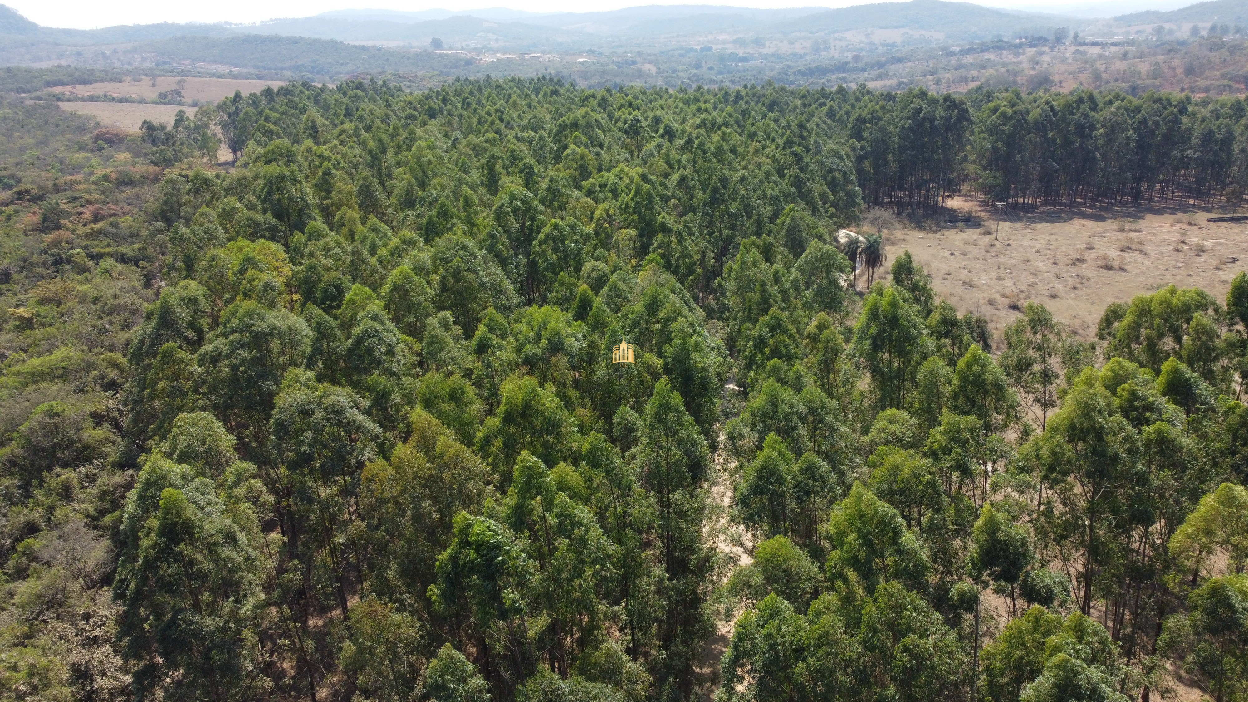 Fazenda à venda com 3 quartos, 3010000m² - Foto 50