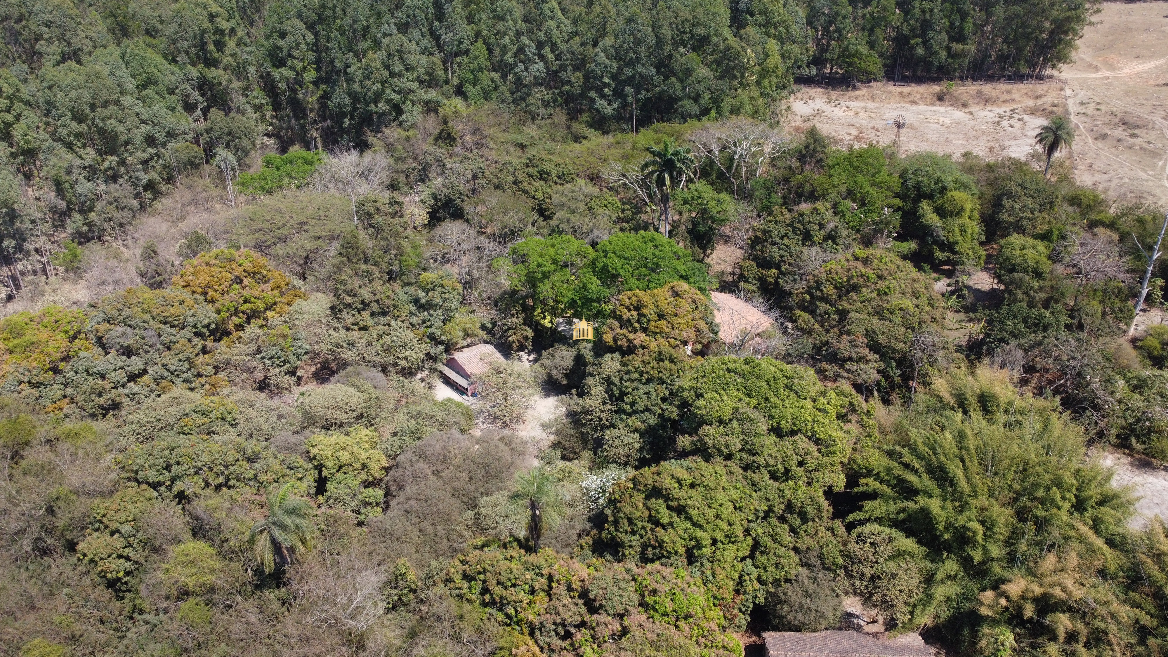 Fazenda à venda com 3 quartos, 3010000m² - Foto 129