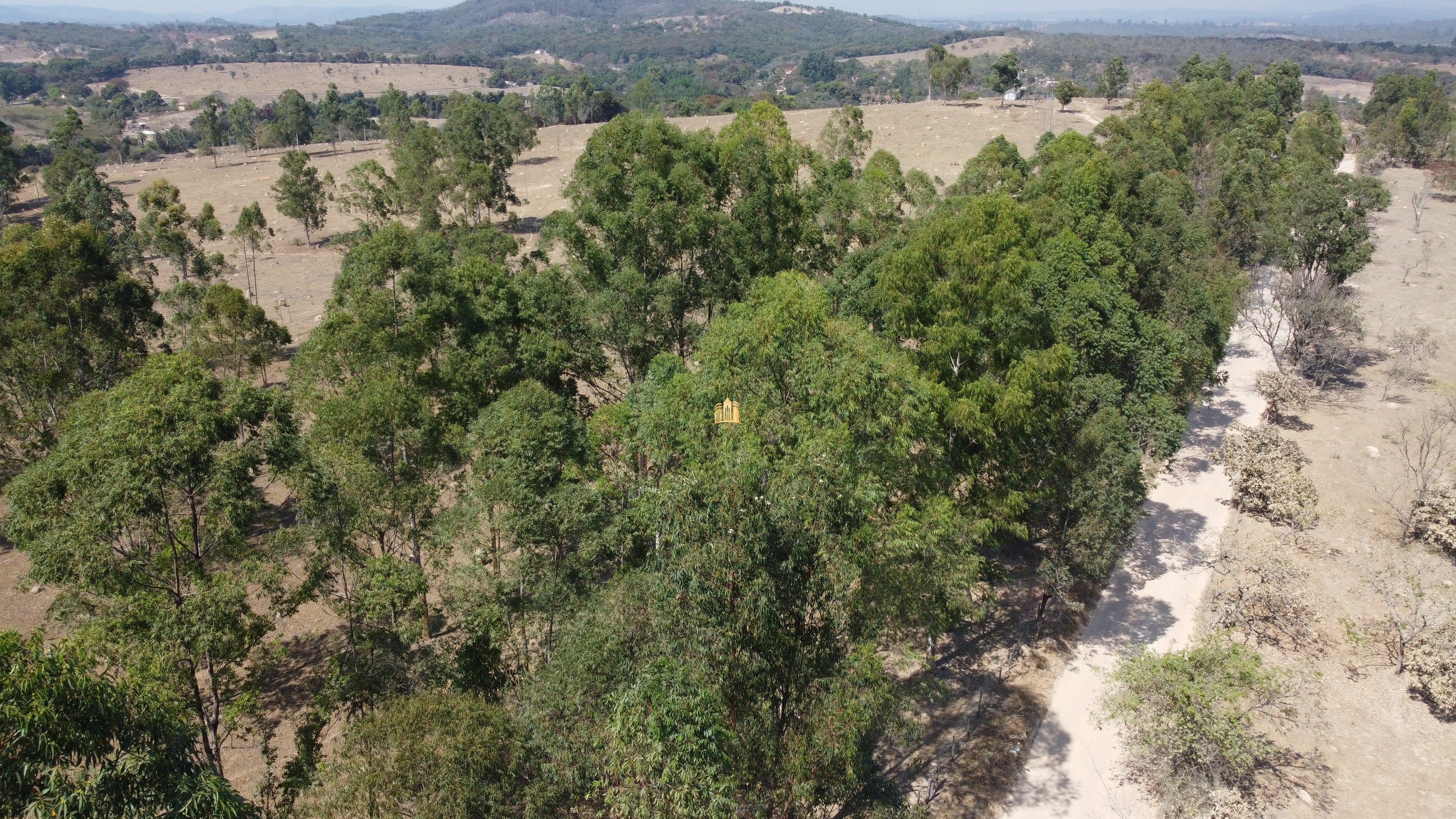 Fazenda à venda com 3 quartos, 3010000m² - Foto 47