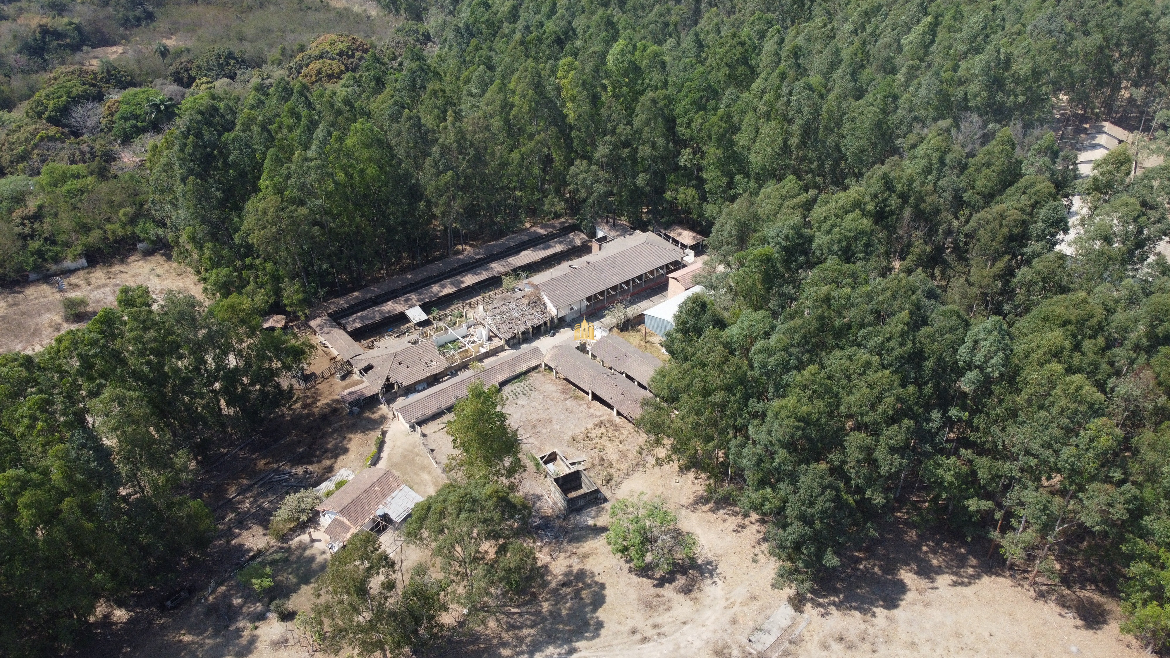 Fazenda à venda com 3 quartos, 3010000m² - Foto 8